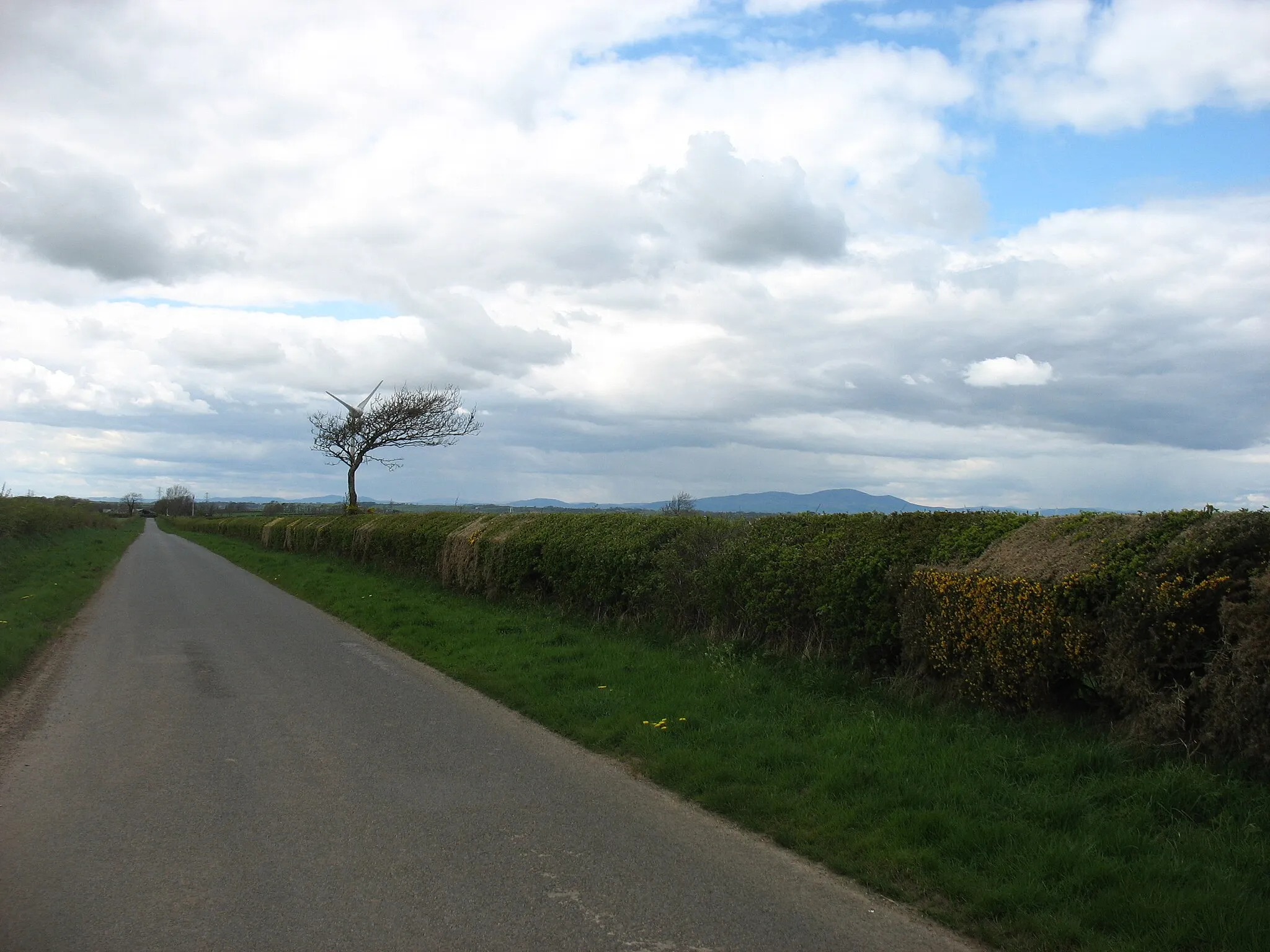 Photo showing: Approaching the A596