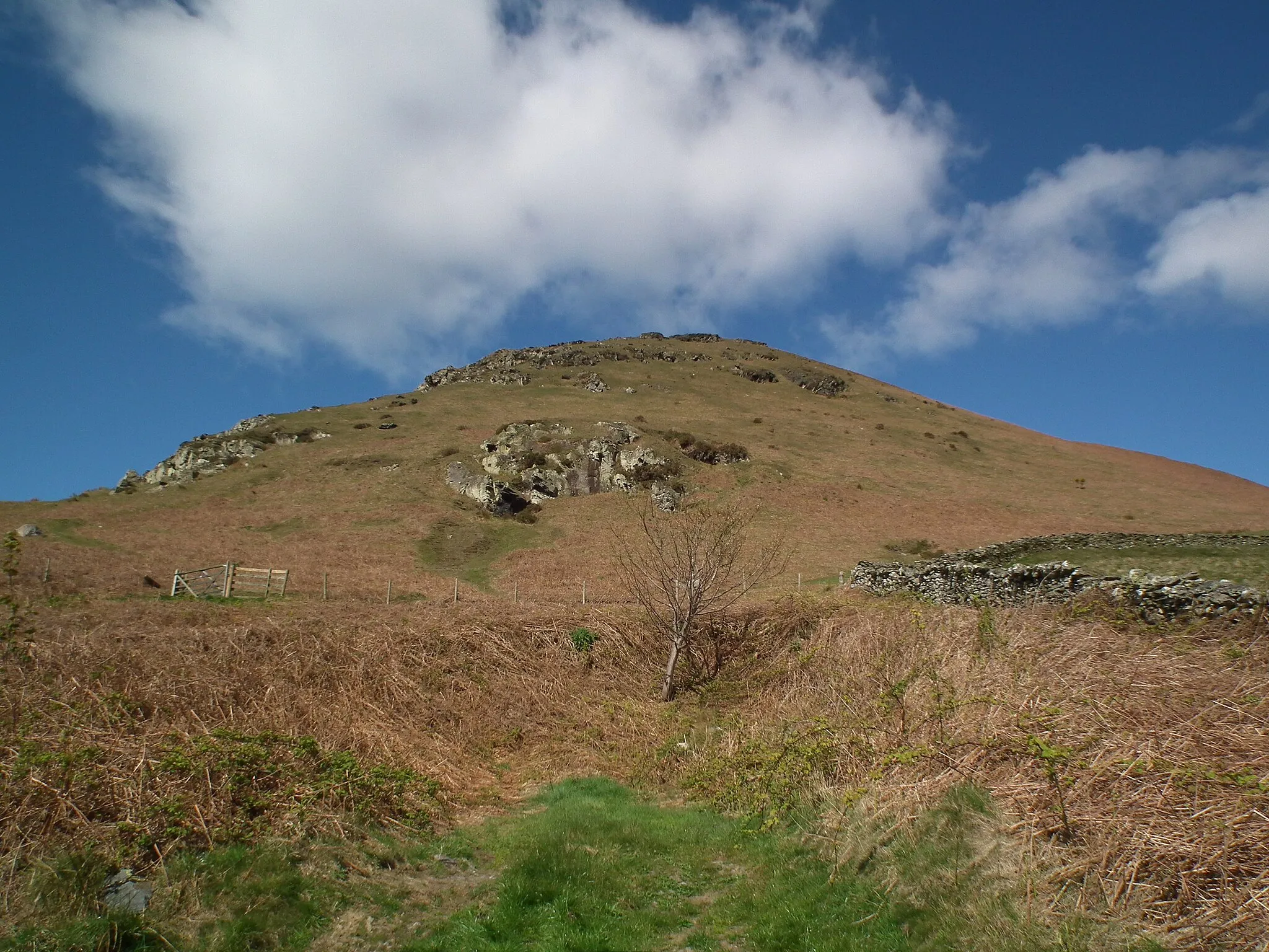 Photo showing: Fell Brow