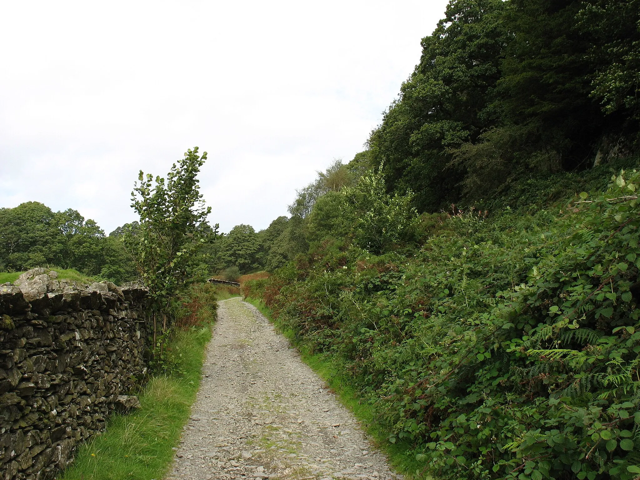 Photo showing: The track from High Nibthwaite to Selside