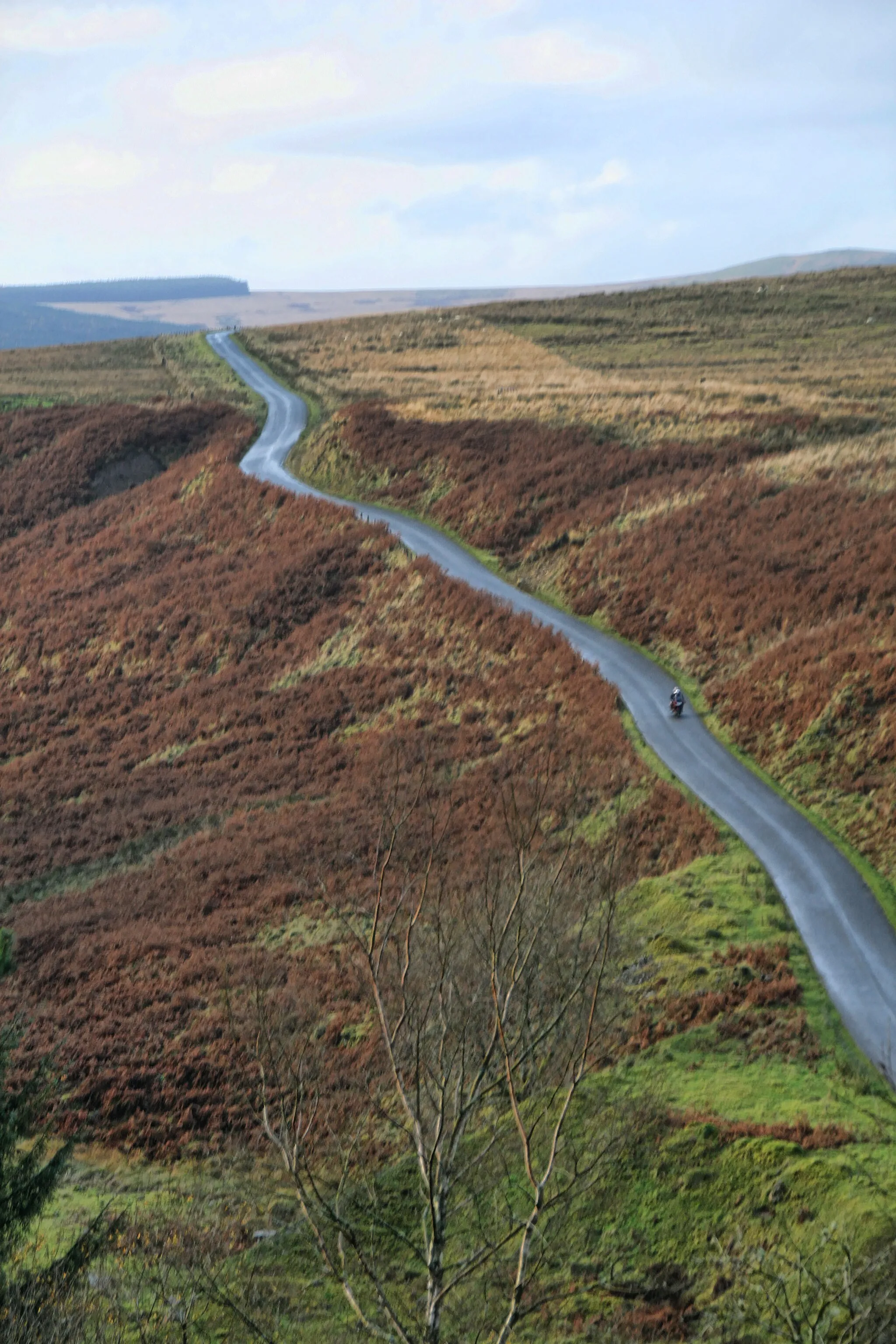 Photo showing: Raegill Knowes