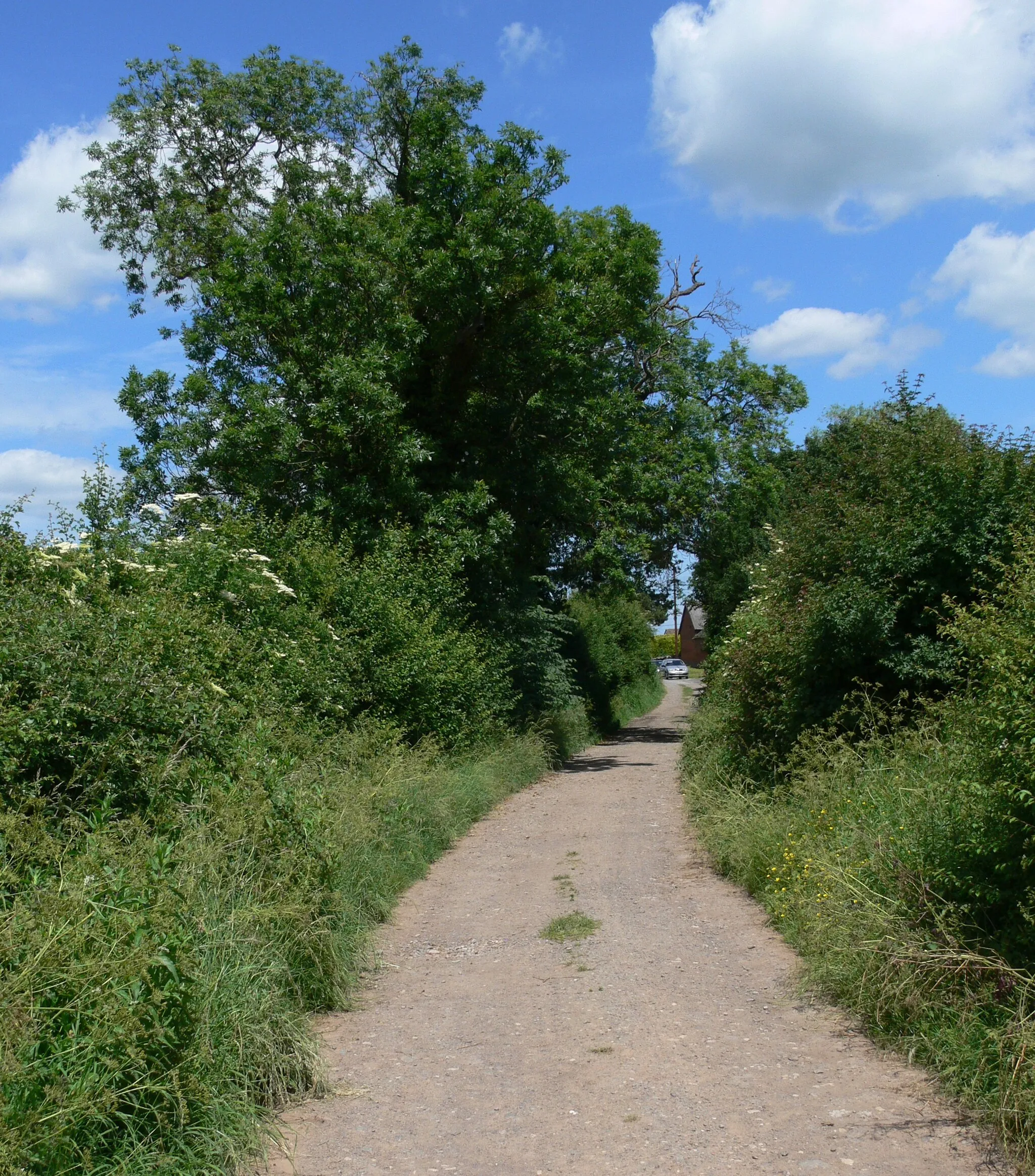 Photo showing: Track on the edge of Woodthorpe