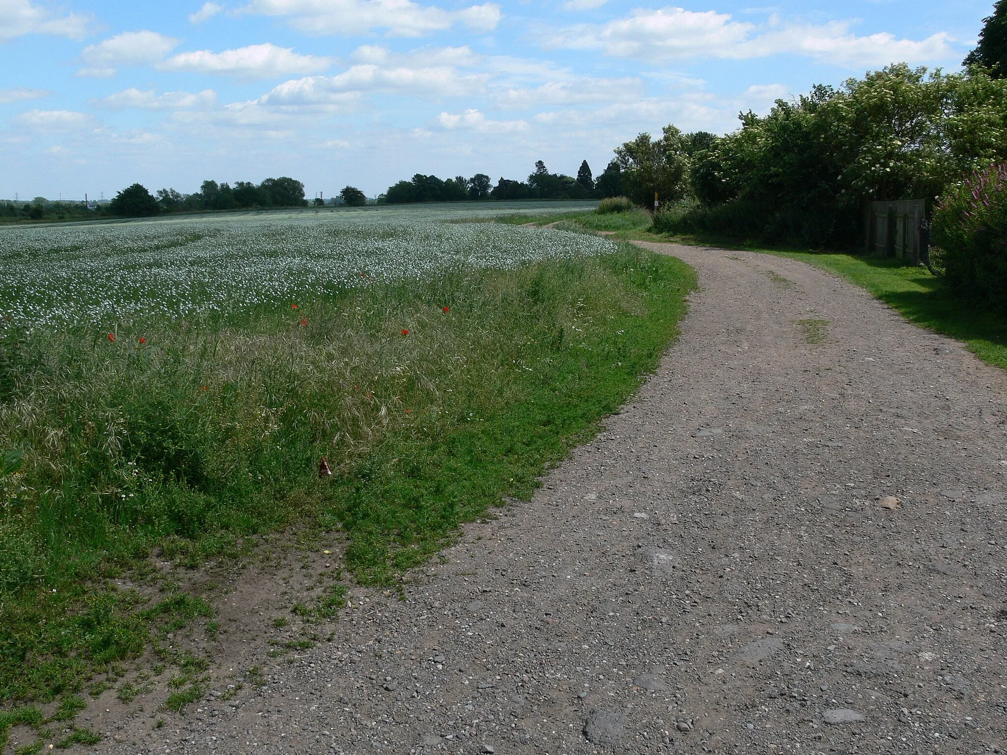 Photo showing: Footpath and track to Quorn