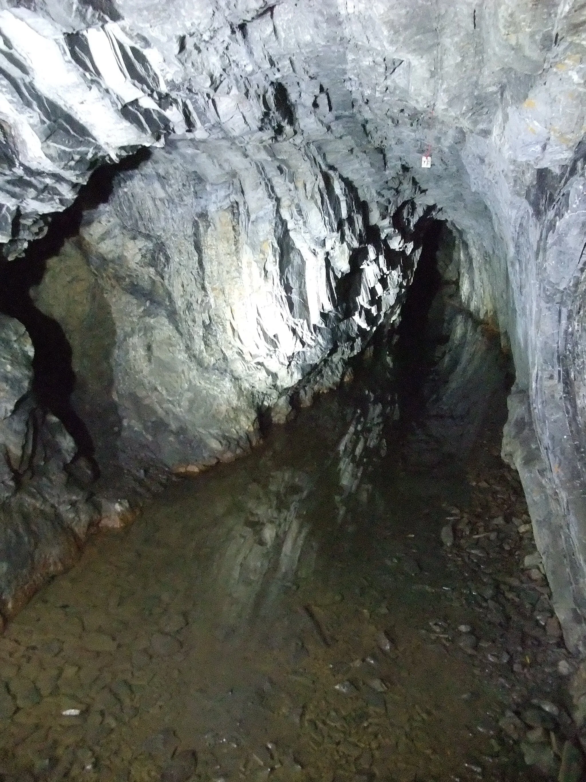 Photo showing: A view of Pickering Gate in the Deep Ecton mine adit, Ecton, Staffordshire, UK, taken during a visit on 15 Jan 2016