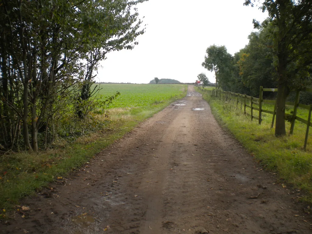 Photo showing: Farm track north of Newton (1)