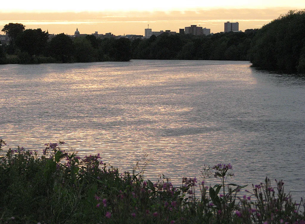 Photo showing: A July evening by the Trent