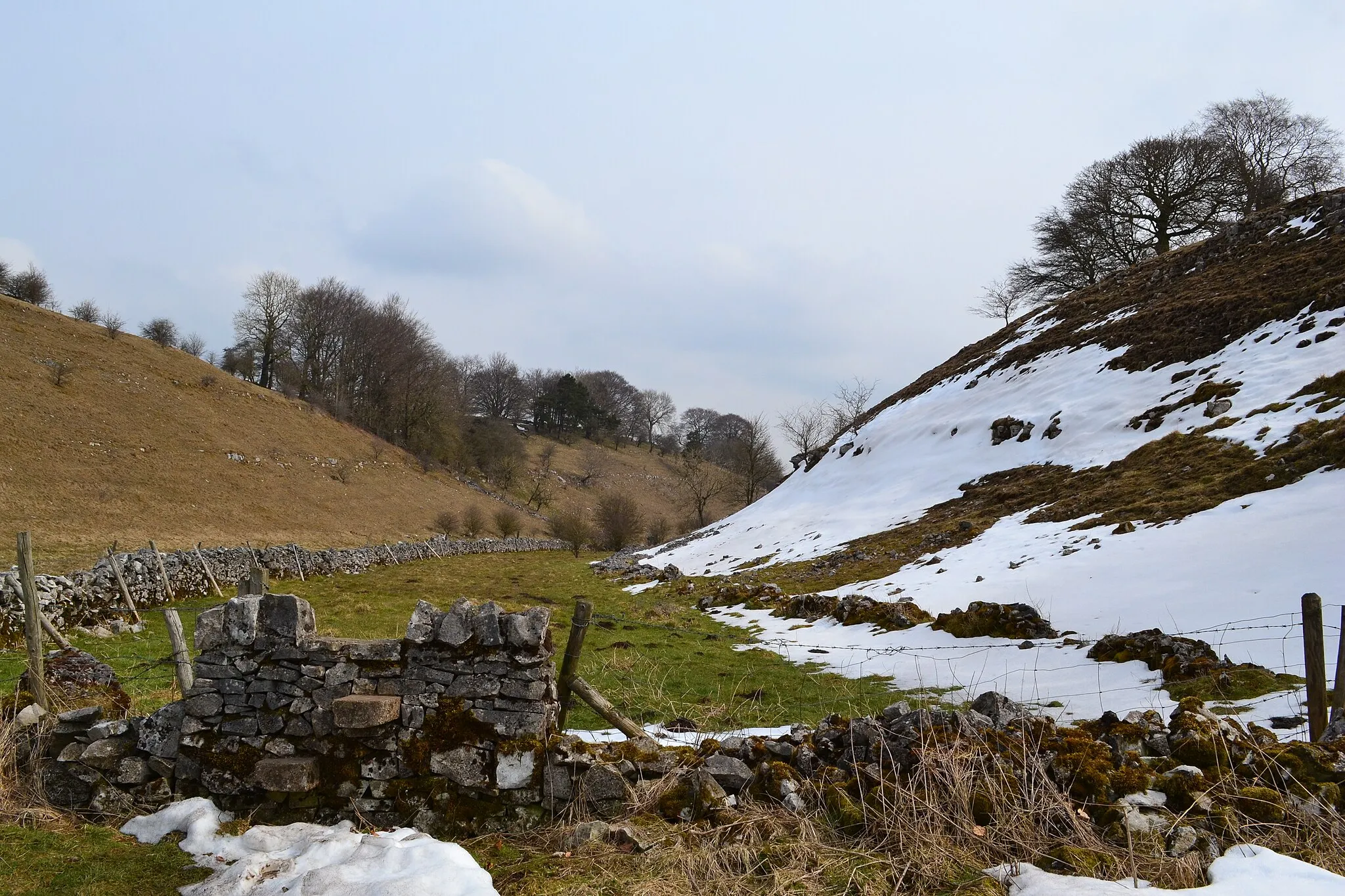 Photo showing: Back Dale in April