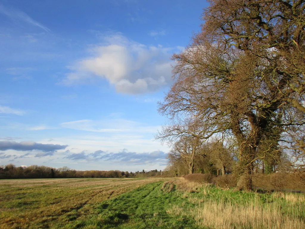 Photo showing: Alongside Long Lane