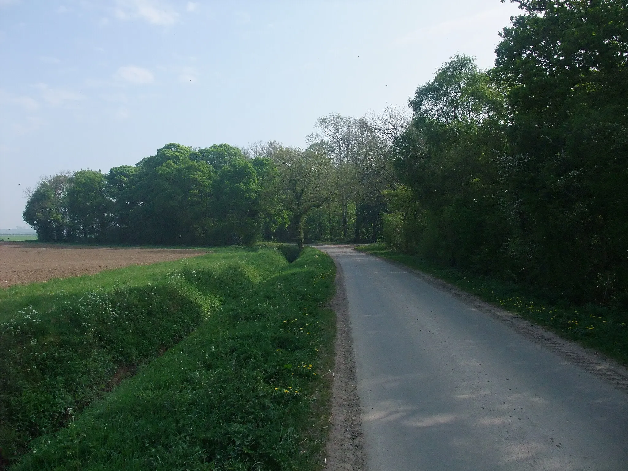 Photo showing: Approaching Eagle Hall Wood on Cycle Route 64