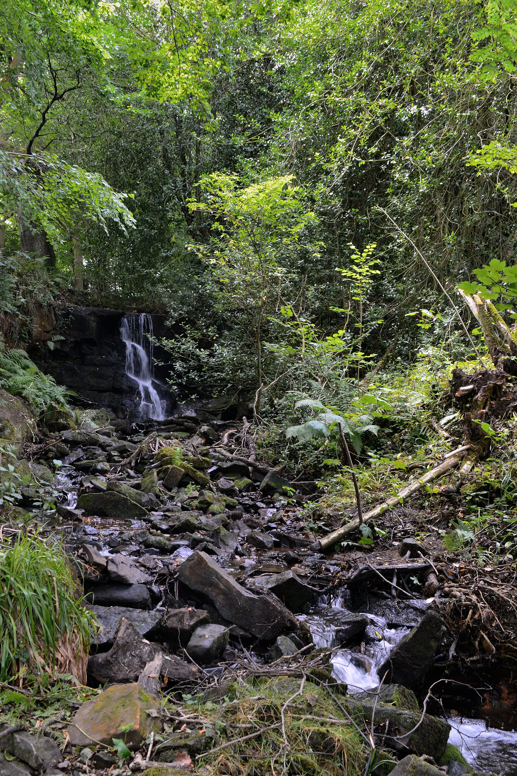 Photo showing: Waterfall on Porter Brook, Porter Clough. Before the path joins Mark Lane