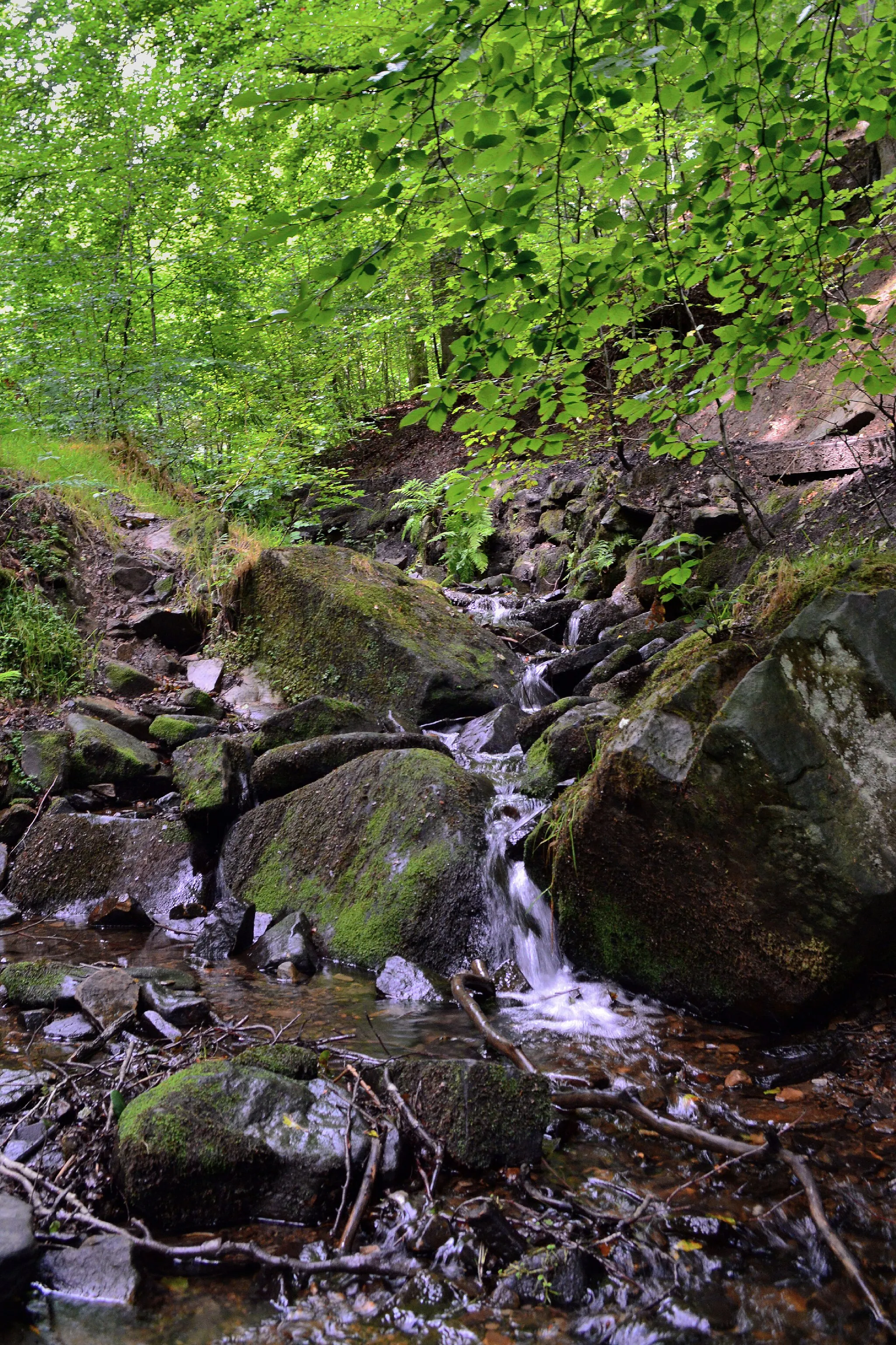 Photo showing: Porter Brook in Porter Clough