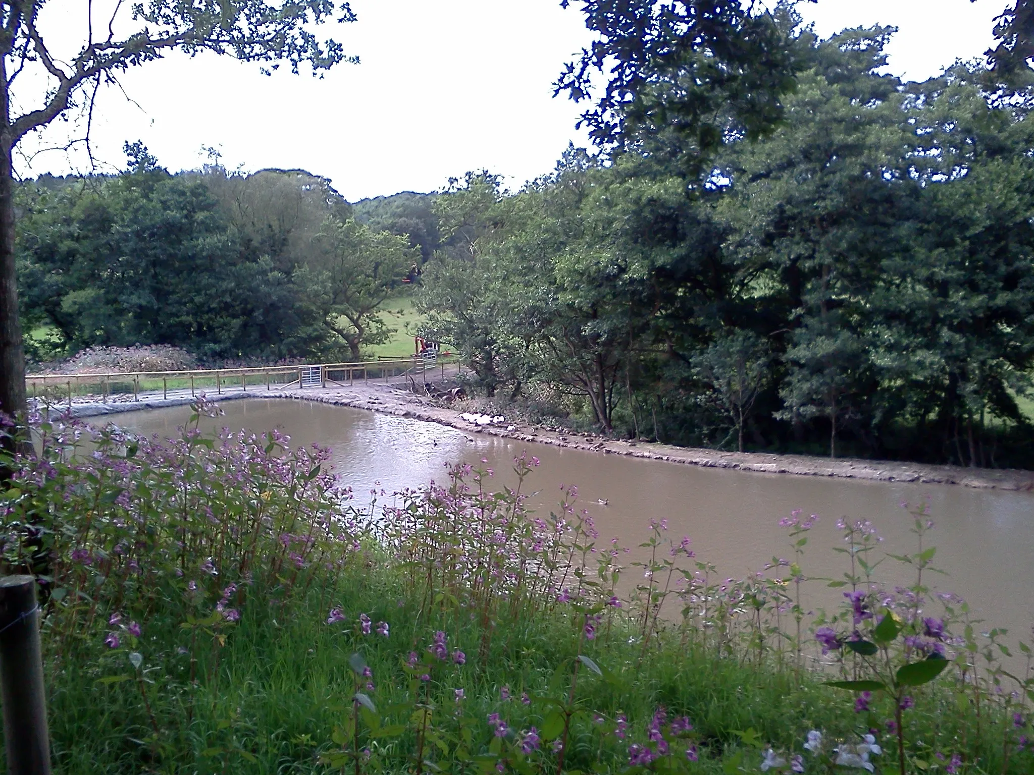 Photo showing: A new pond on Spinneyford Brook