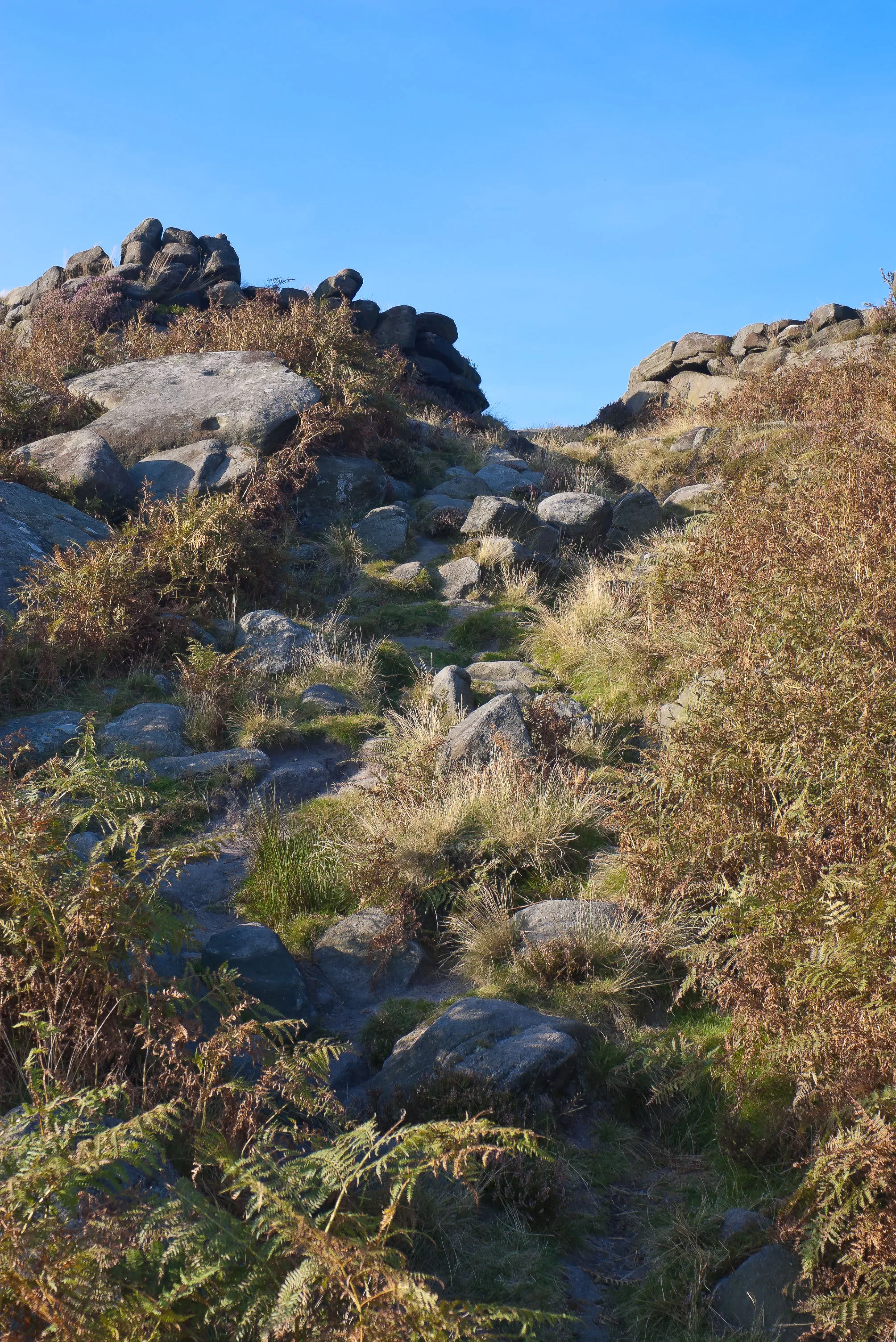 Photo showing: Entrance to Carl Wark