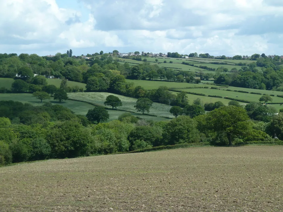 Photo showing: Large field and view towards Holmesfield