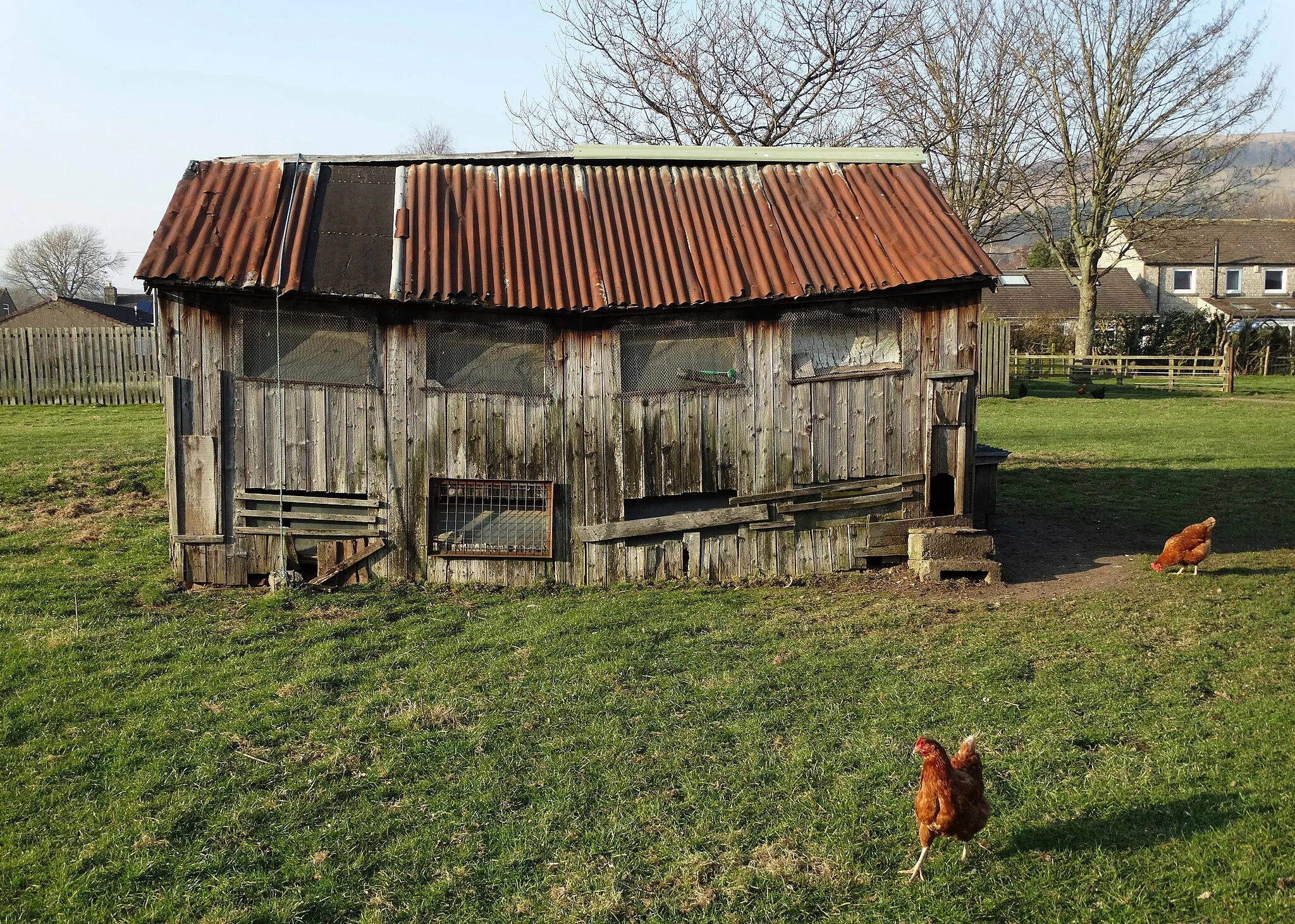 Photo showing: Ramshackle henhouse at Hope