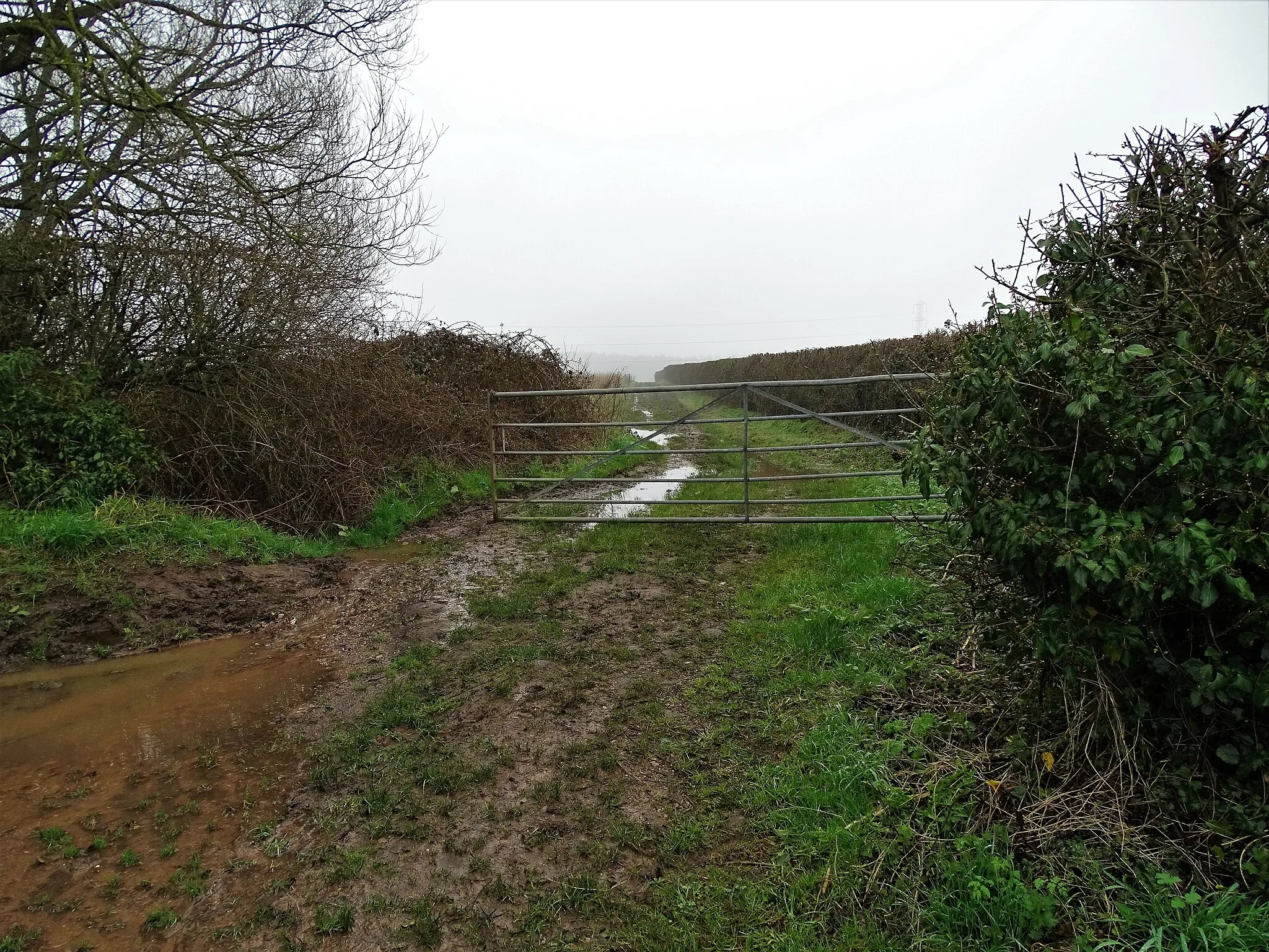 Photo showing: Bridleway south of Ingleby