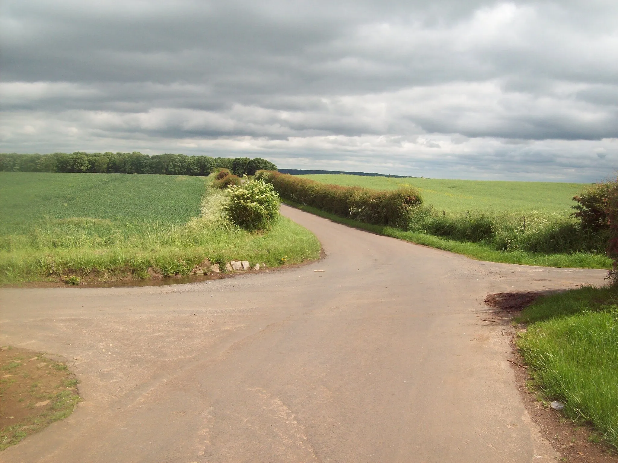 Photo showing: 3-Way County Boundary at Thorpe Common