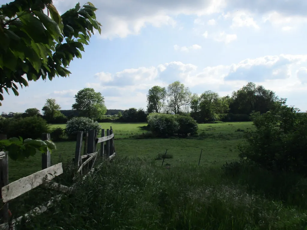 Photo showing: Beyond the railway