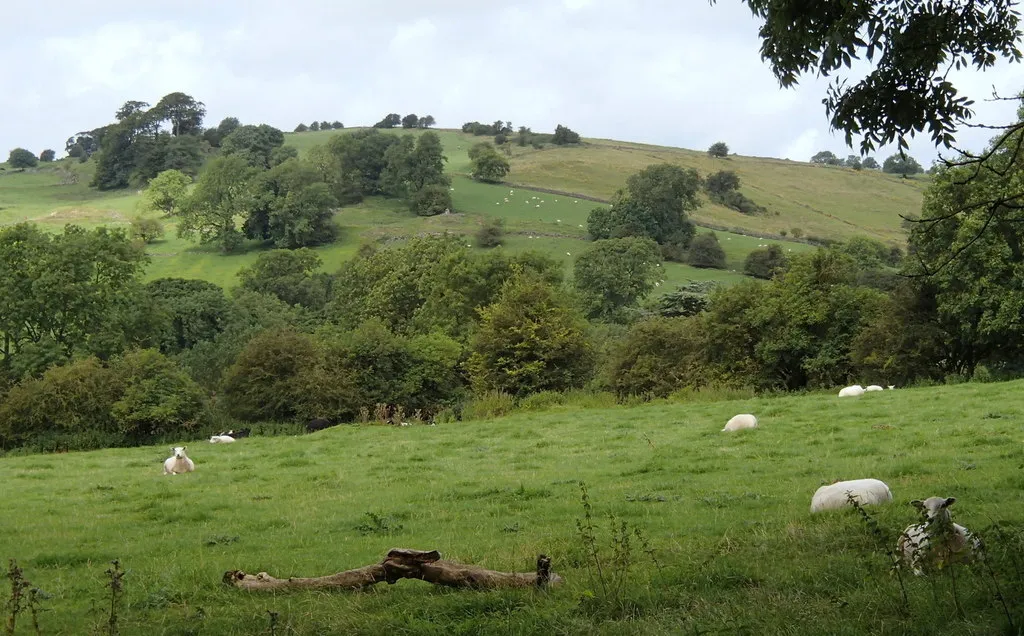 Photo showing: Field by Summer Lane