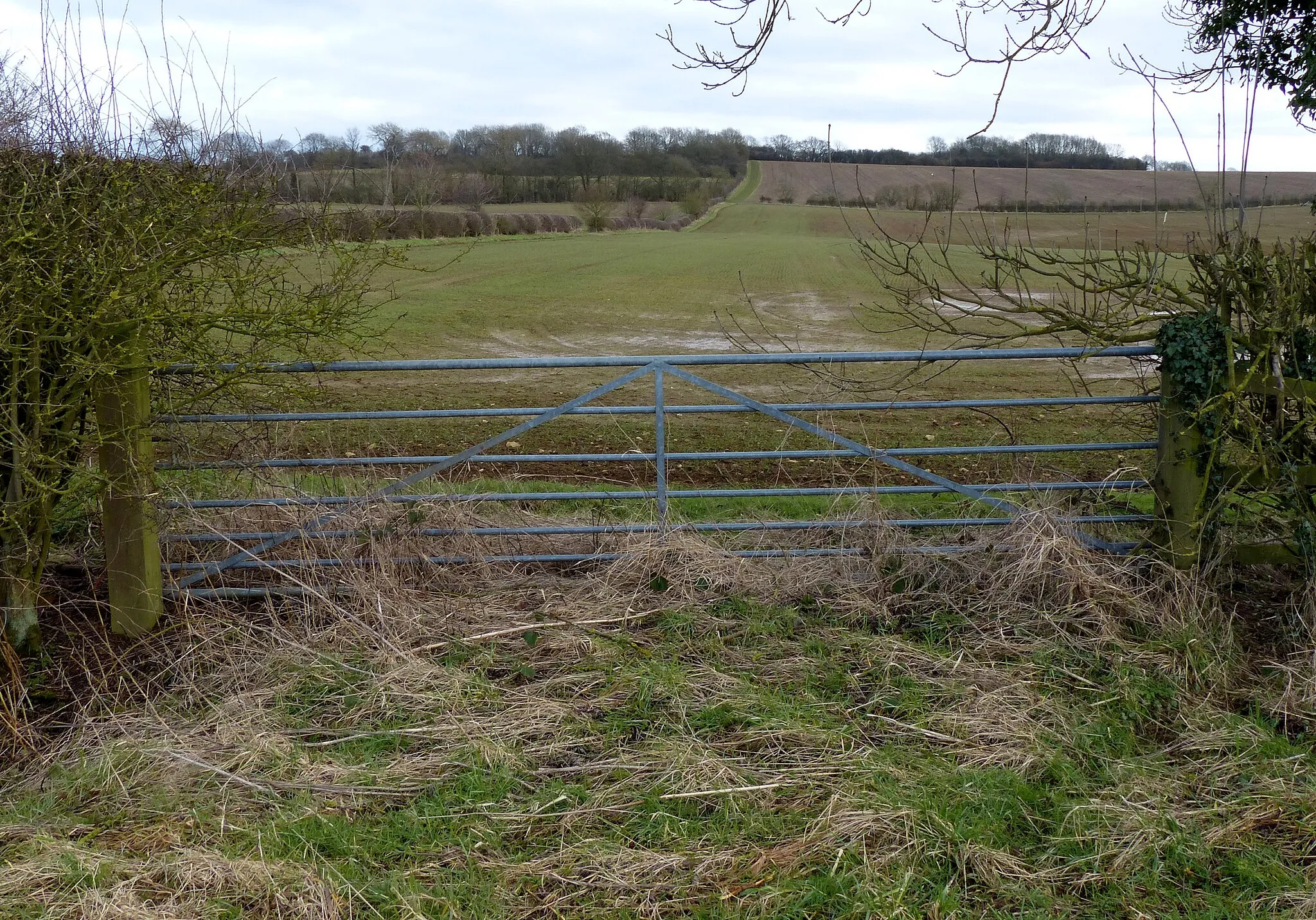 Photo showing: Farmland north of Goadby