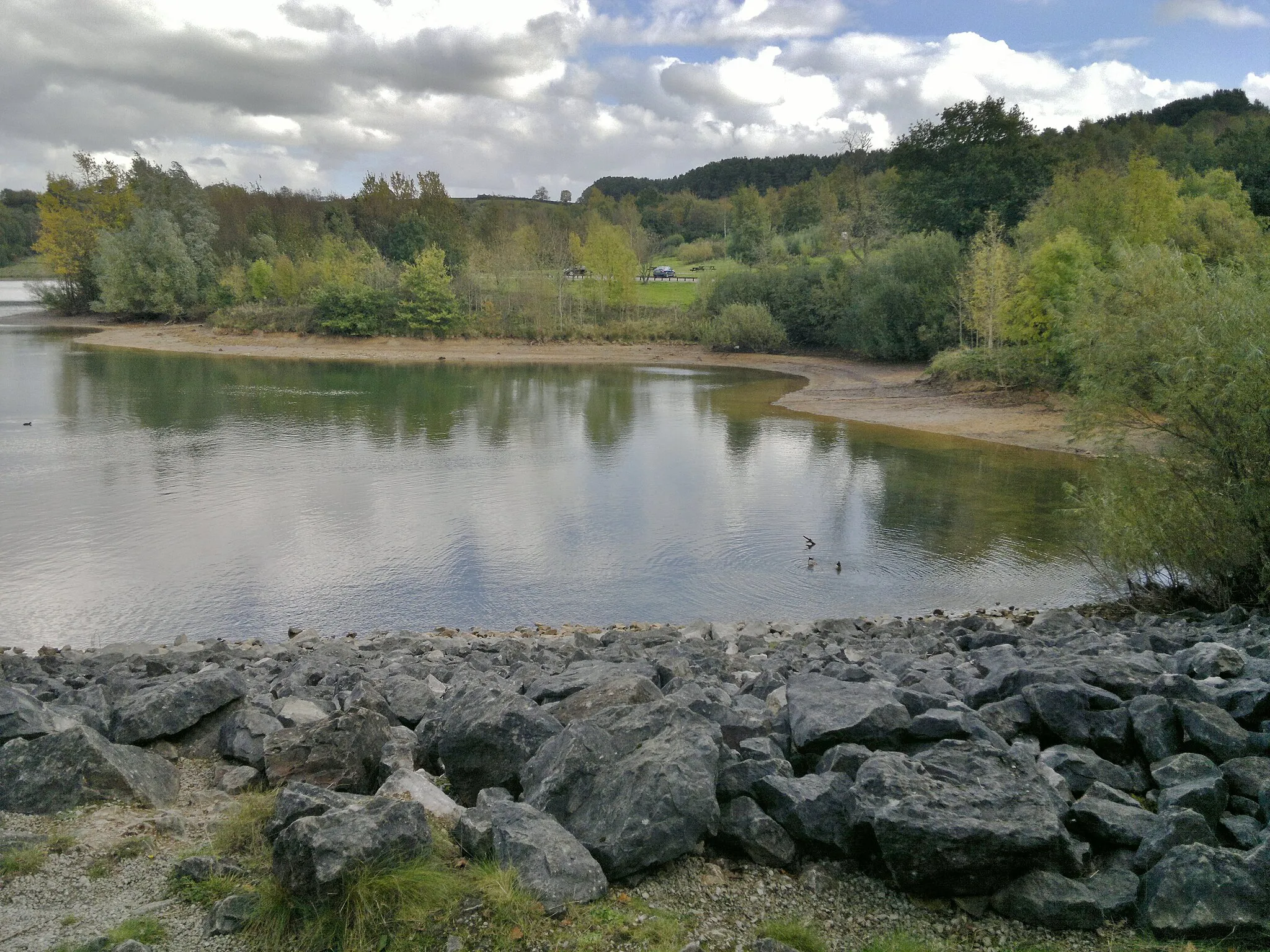 Photo showing: Bay at Millfields, southern end of Carsington Water reservoir
