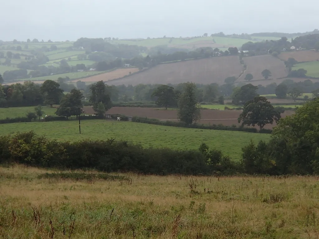 Photo showing: Countryside near Hazelwood