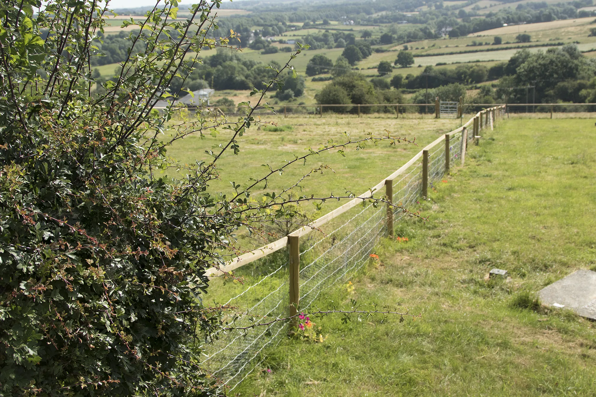 Photo showing: A sturdy fence