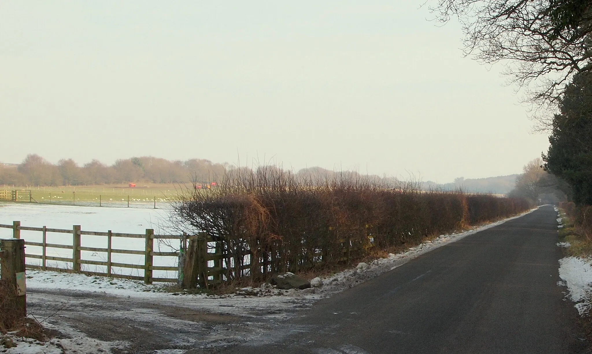 Photo showing: Ash Lane, Arnold, NG5, Notts.