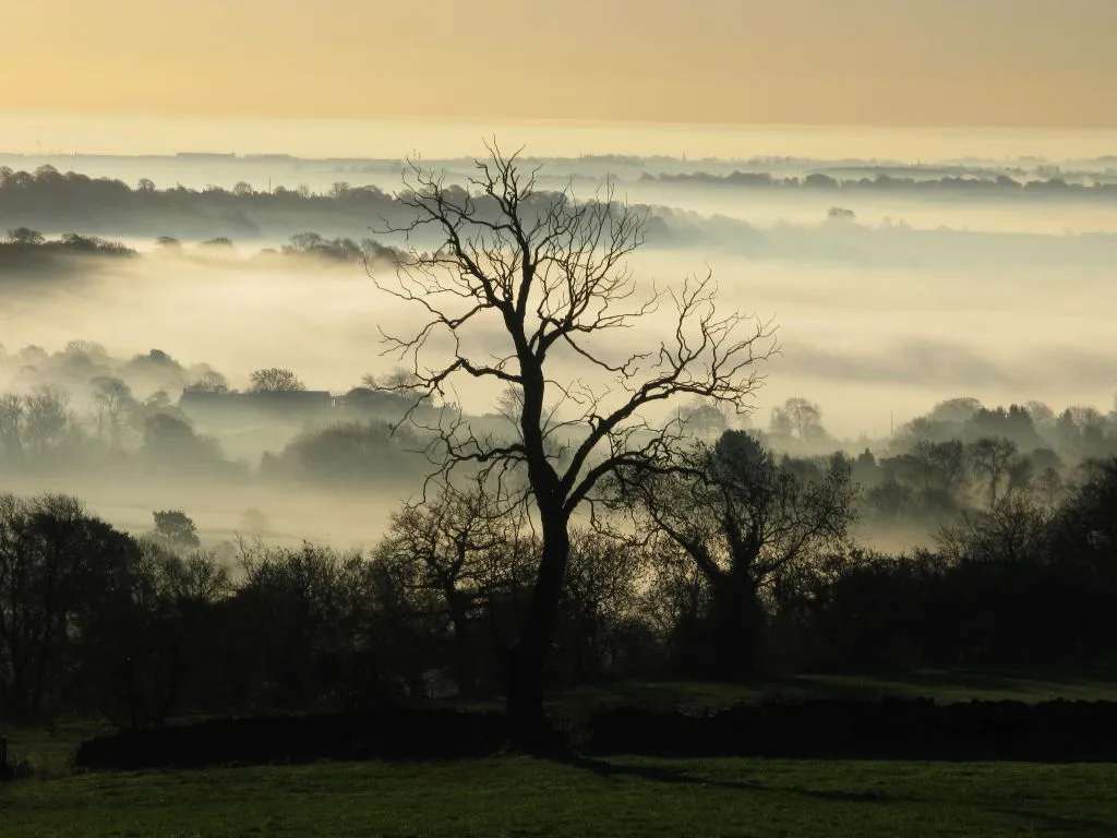 Photo showing: Looking across farmland towards the Amber Valley