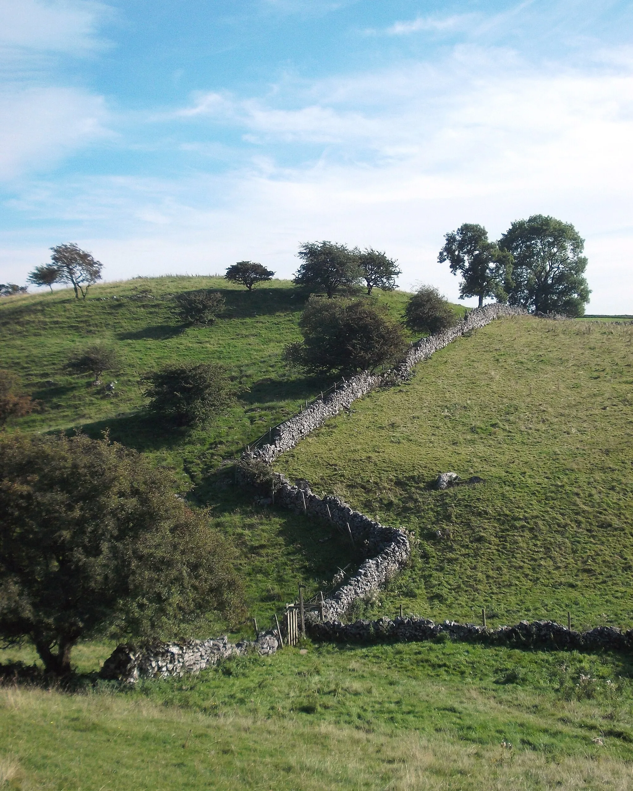 Photo showing: Above the path to High Dale