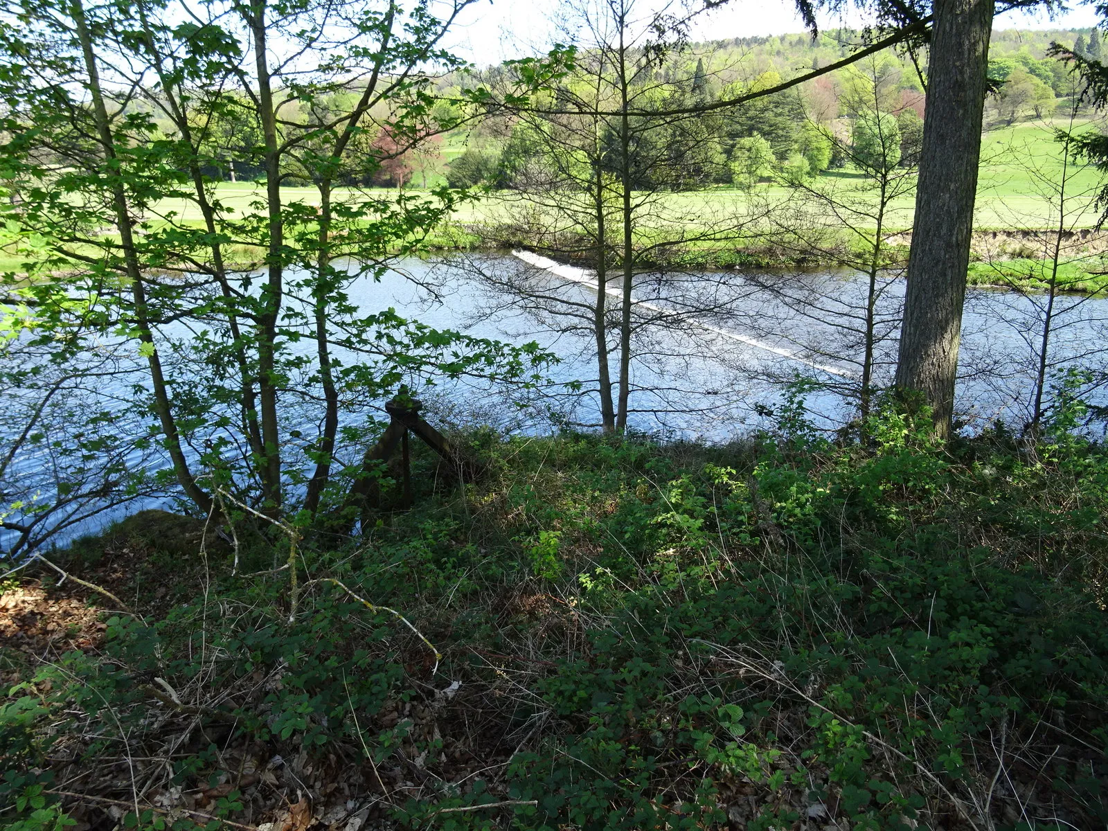 Photo showing: A glimpse of a weir through trees