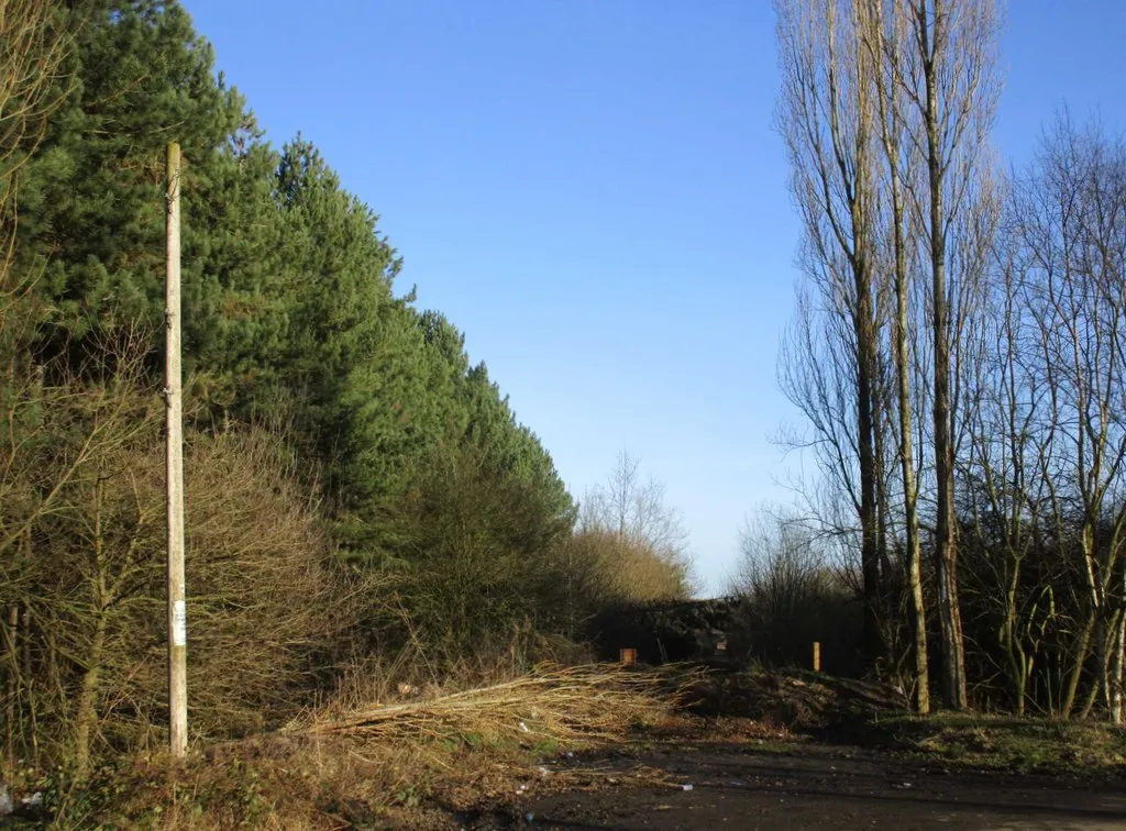 Photo showing: Abandoned road at the former Bevercotes Colliery