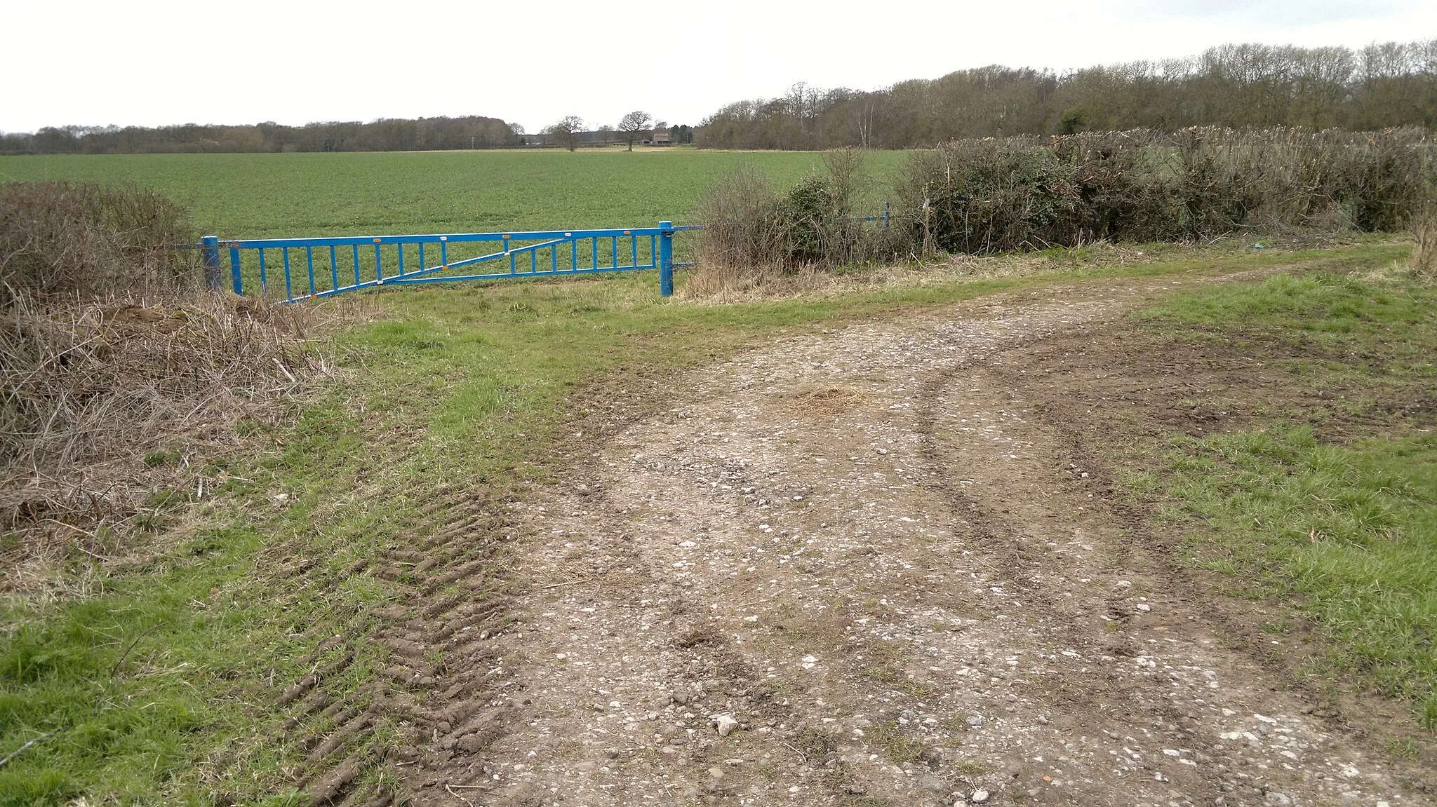 Photo showing: Blue gate by Robin Hood Way