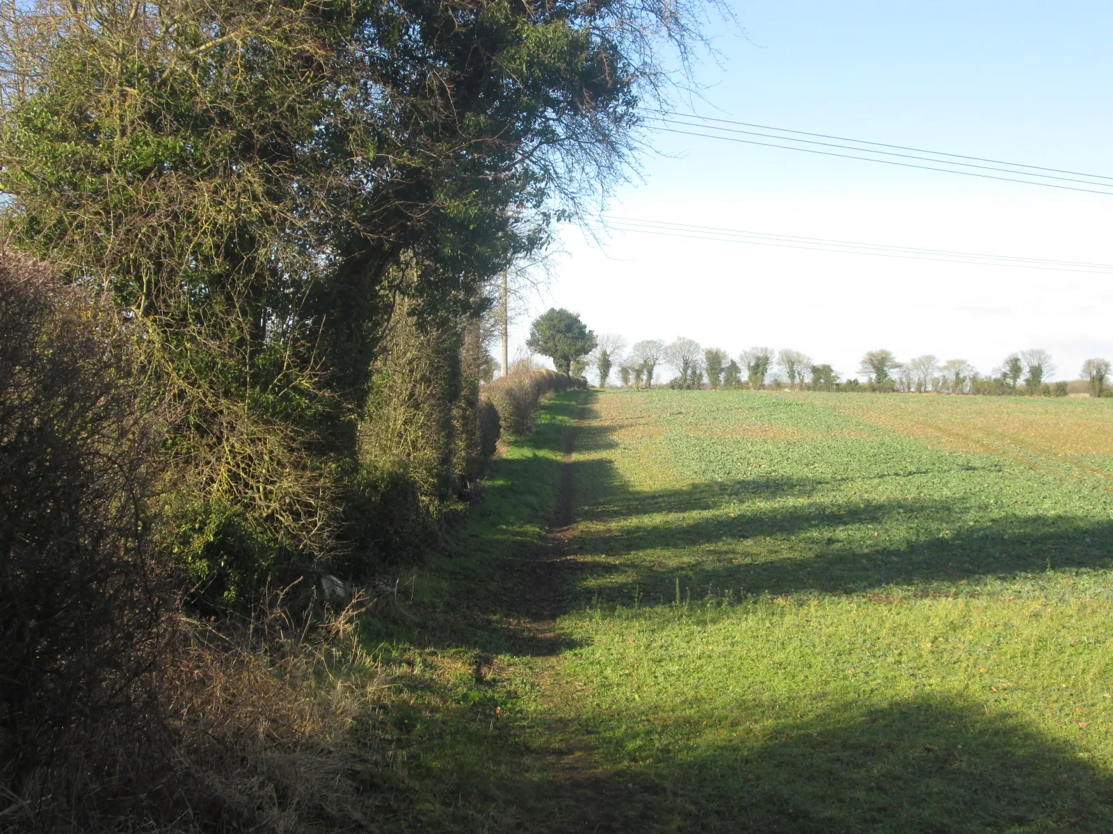 Photo showing: Bridleway towards Netherthorpe