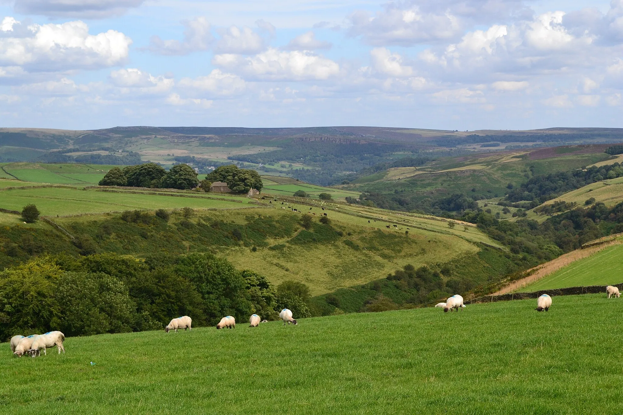 Photo showing: Abney Grange and Bretton Clough seen from the west