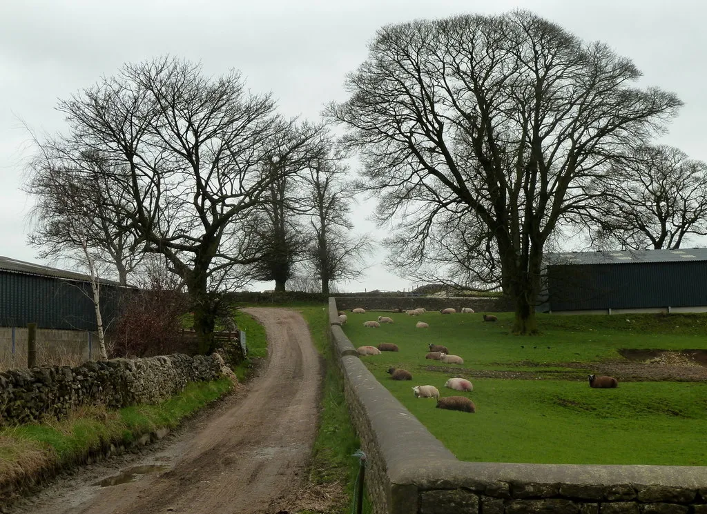Photo showing: Bridleway between farms in Wheston