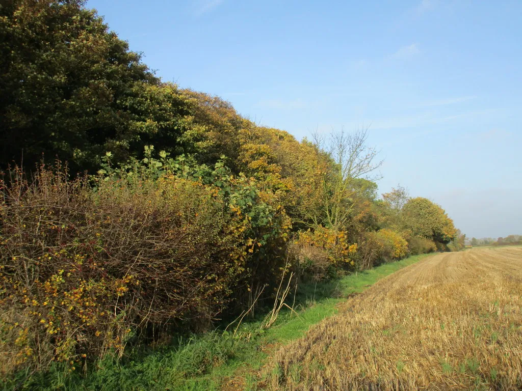 Photo showing: Alongside Pottergate Road