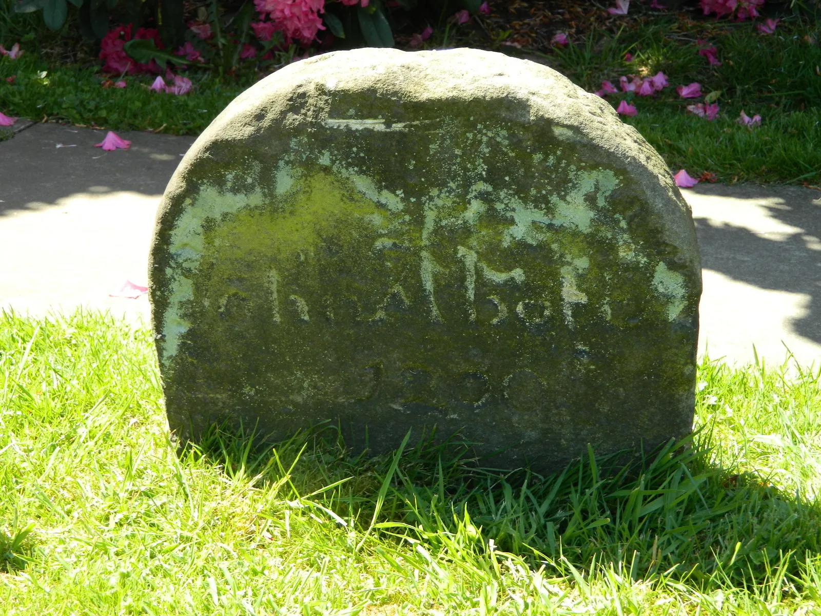 Photo showing: 800 year old gravestone, St Clements, Horsley, Derbyshire