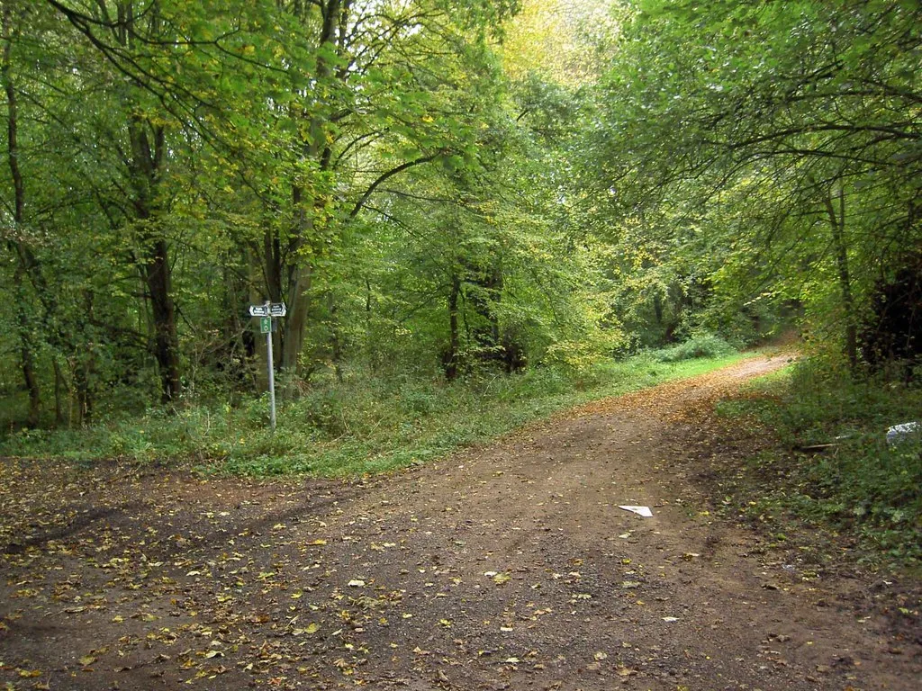 Photo showing: Bridleway junction in Gleadthorpe New Plantation