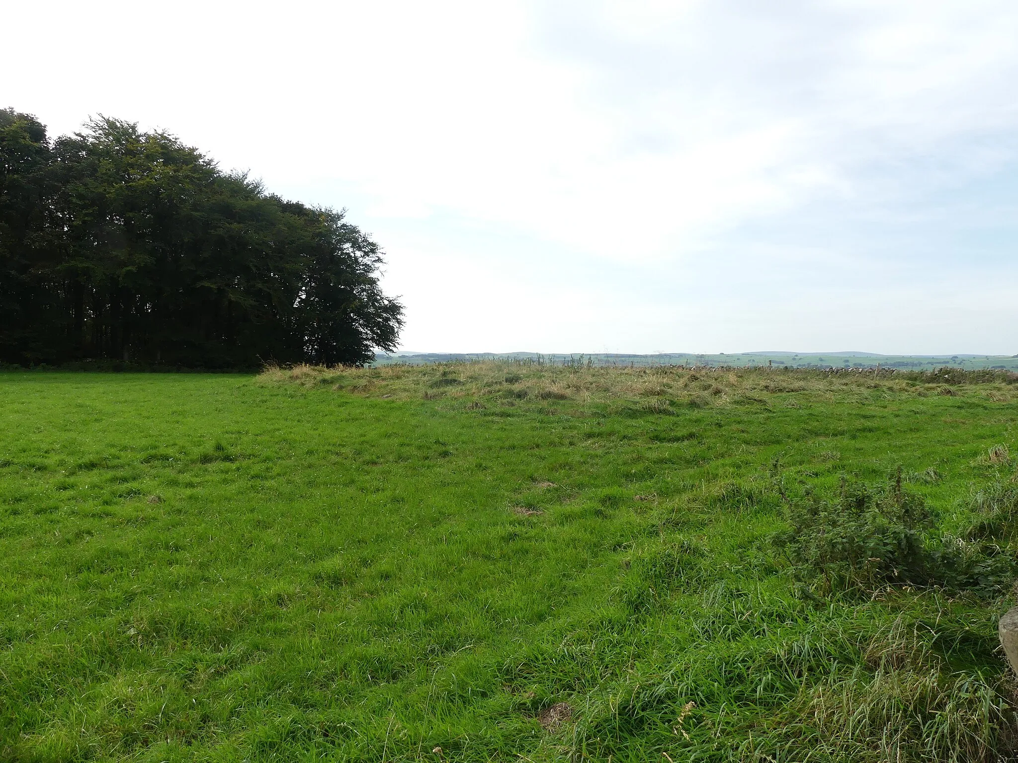 Photo showing: Bole Hill bowl barrow: scheduled monument in the parish of Bakewell, Derbyshire. Wikidata has entry Bole Hill bowl barrow (Q17651140) with data related to this item.