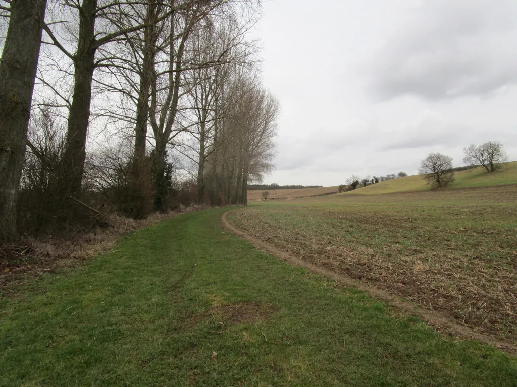 Photo showing: Bridleway to Kneesall