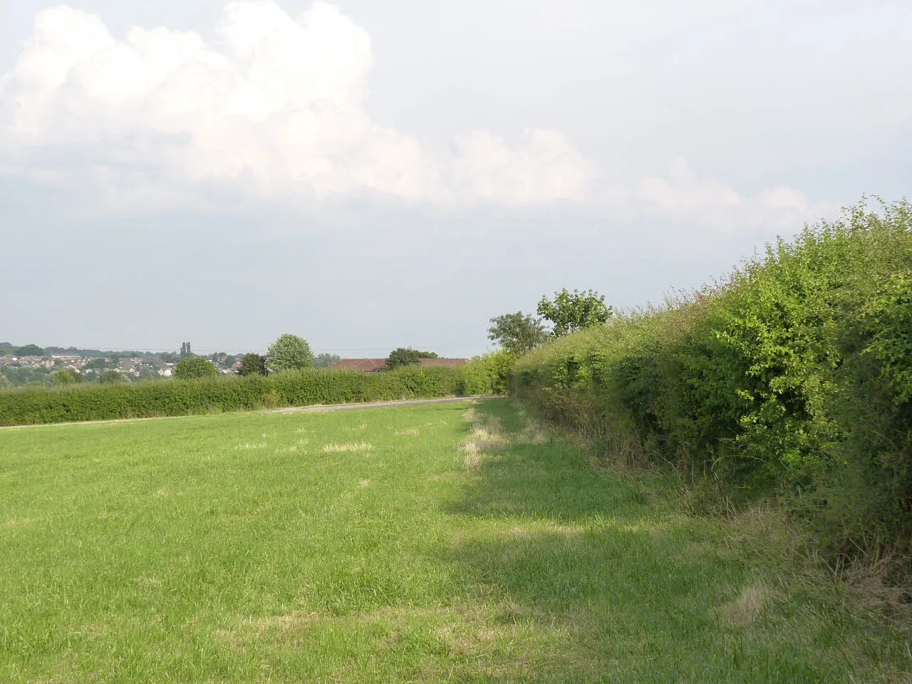 Photo showing: Bridleway to Cotmanhay