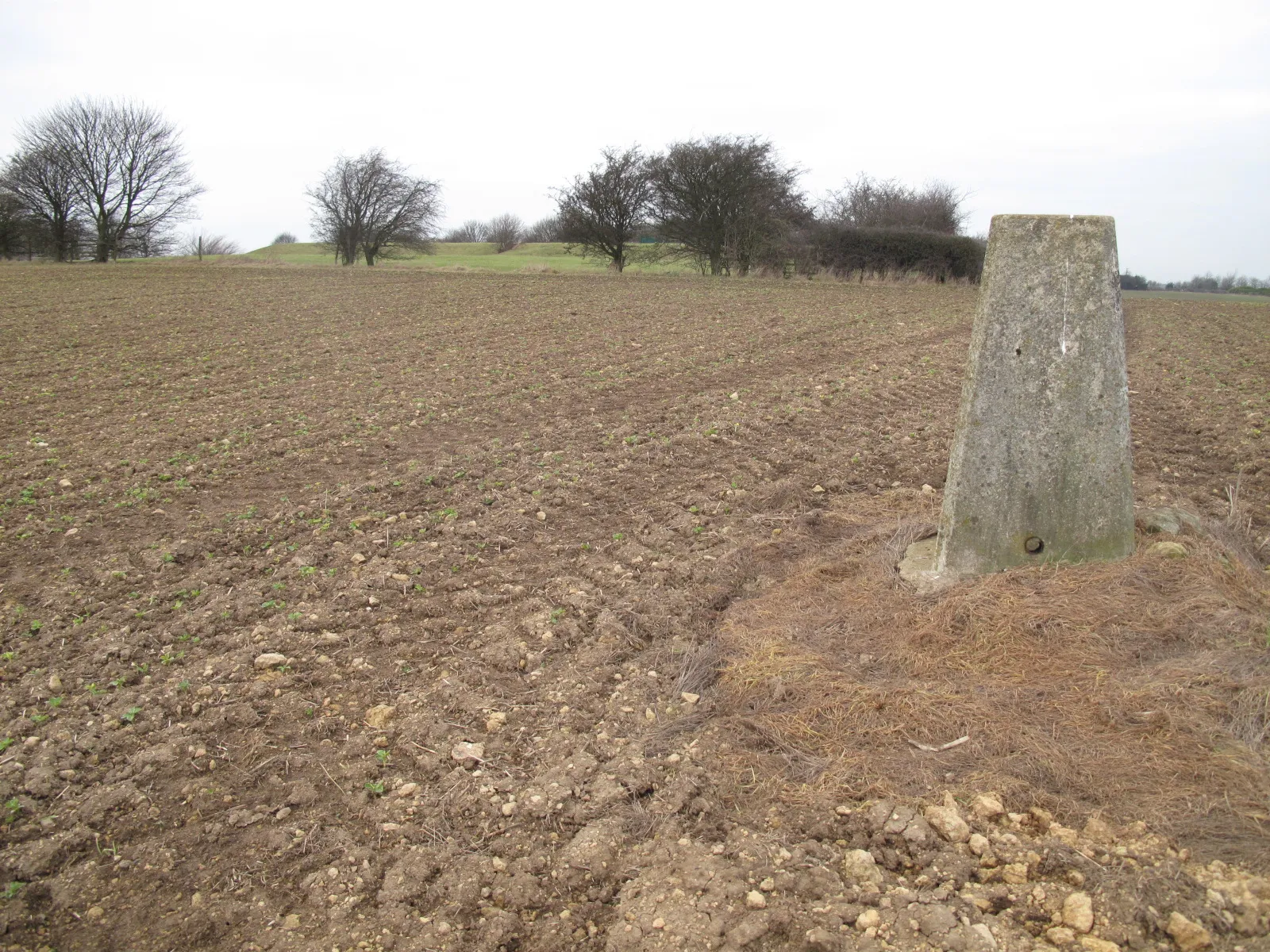 Photo showing: Fir Hill - Harthill Field