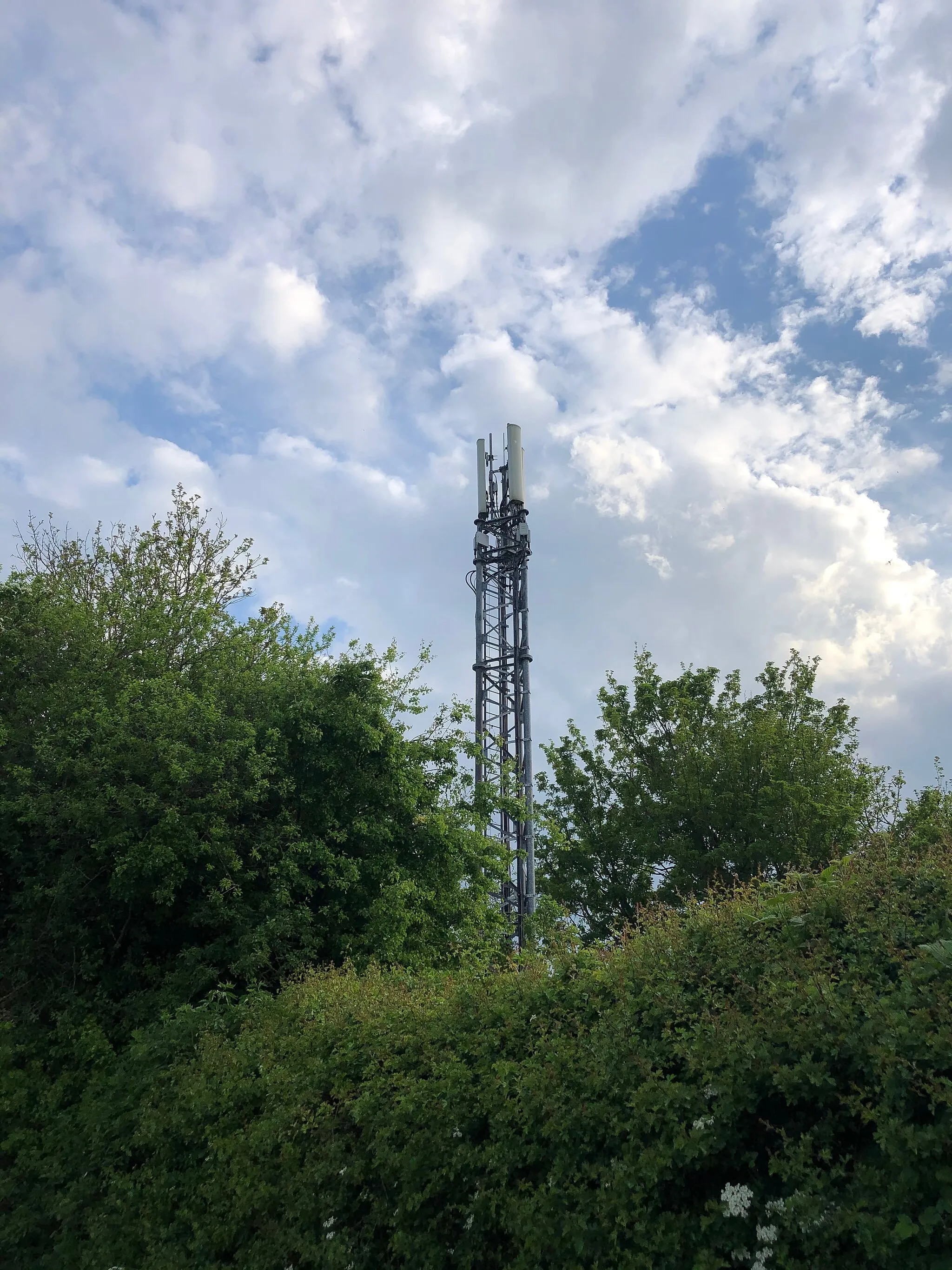 Photo showing: Harthill mobile phone mast