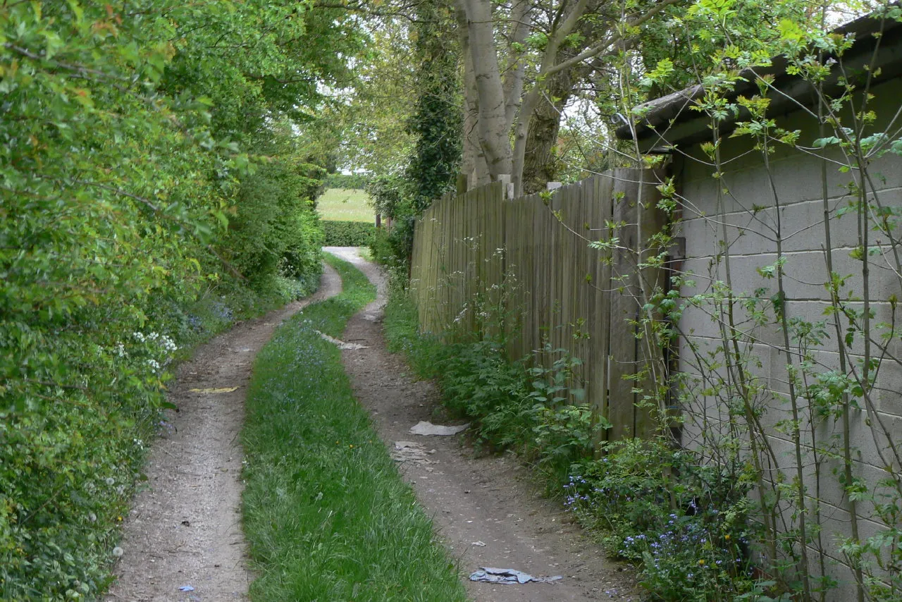 Photo showing: Farm track at Woodlinkin