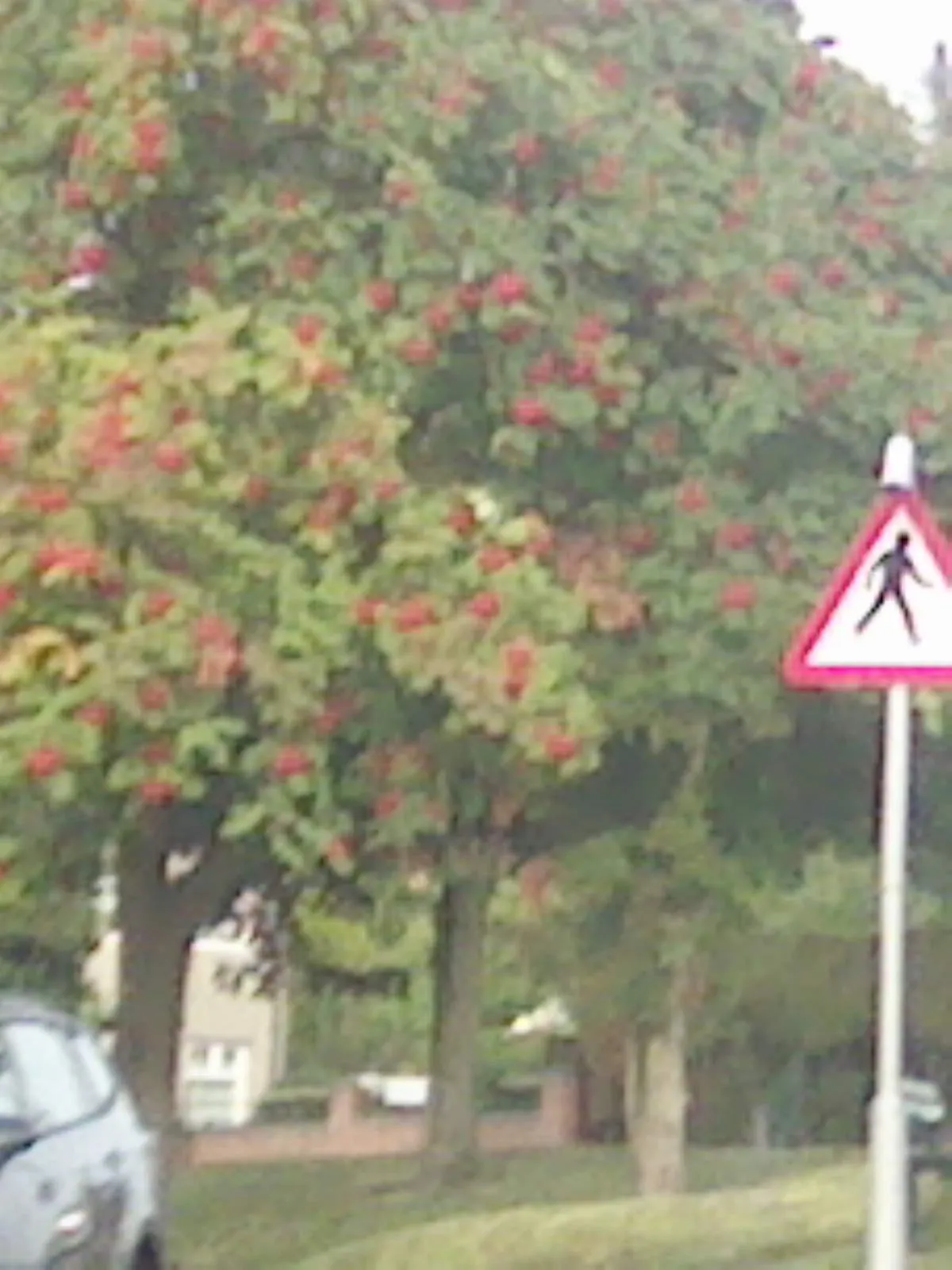 Photo showing: UK Pedestrian Crossing Ahead Sign