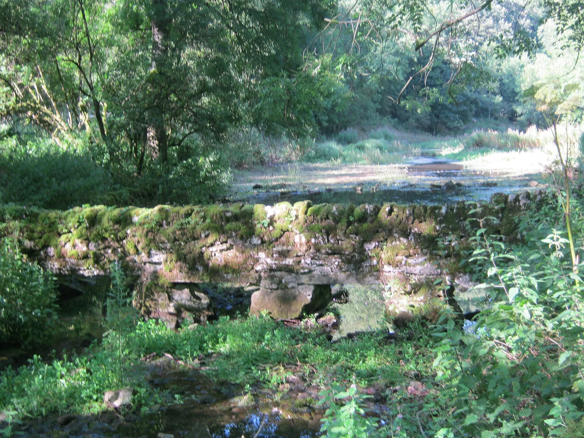 Photo showing: Boundary wall across the River Bradford with gaps to permit flow