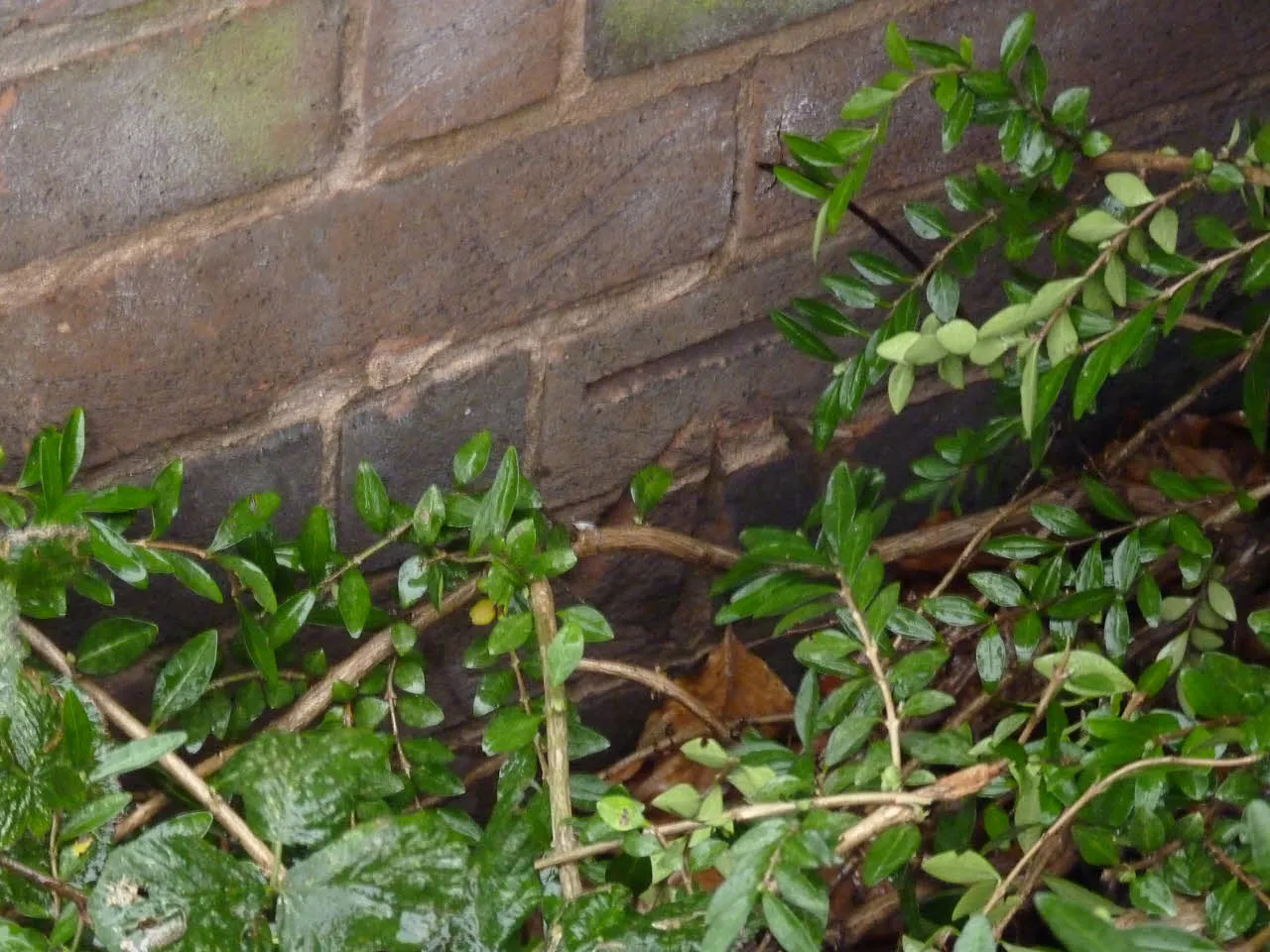 Photo showing: Bench mark, St Cyprian's Church Nottingham