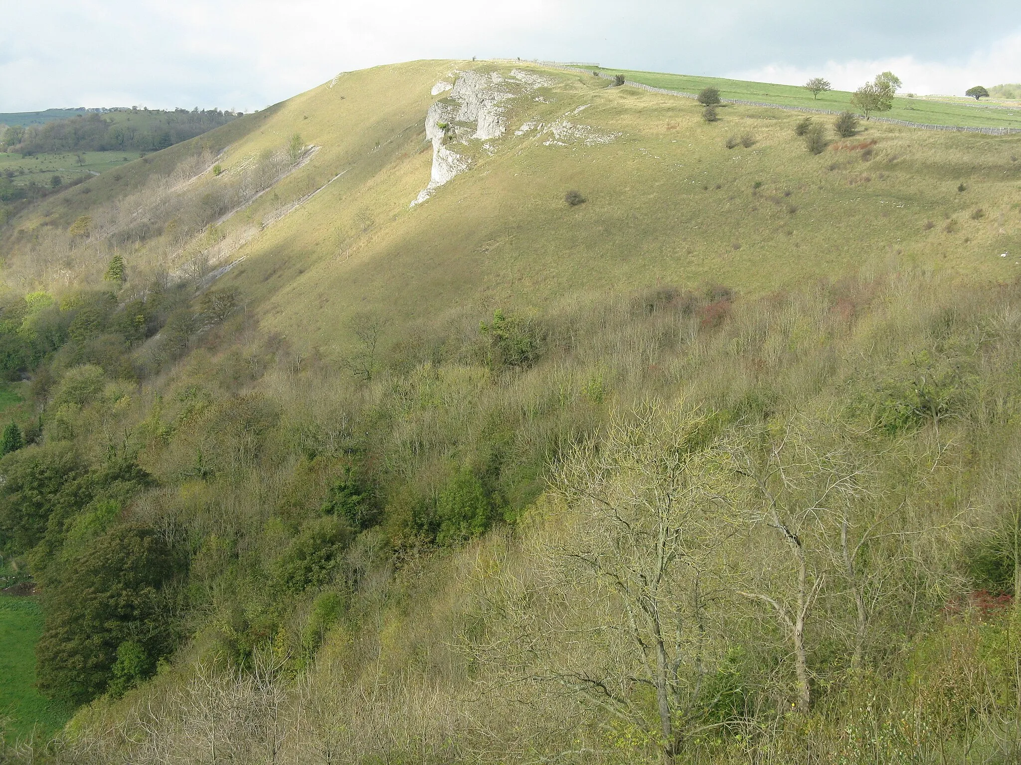 Photo showing: White Cliff at Monsal Head
