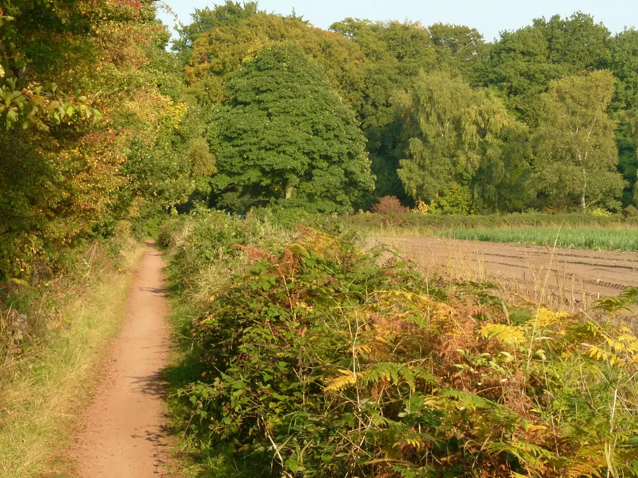 Photo showing: Autumn colours