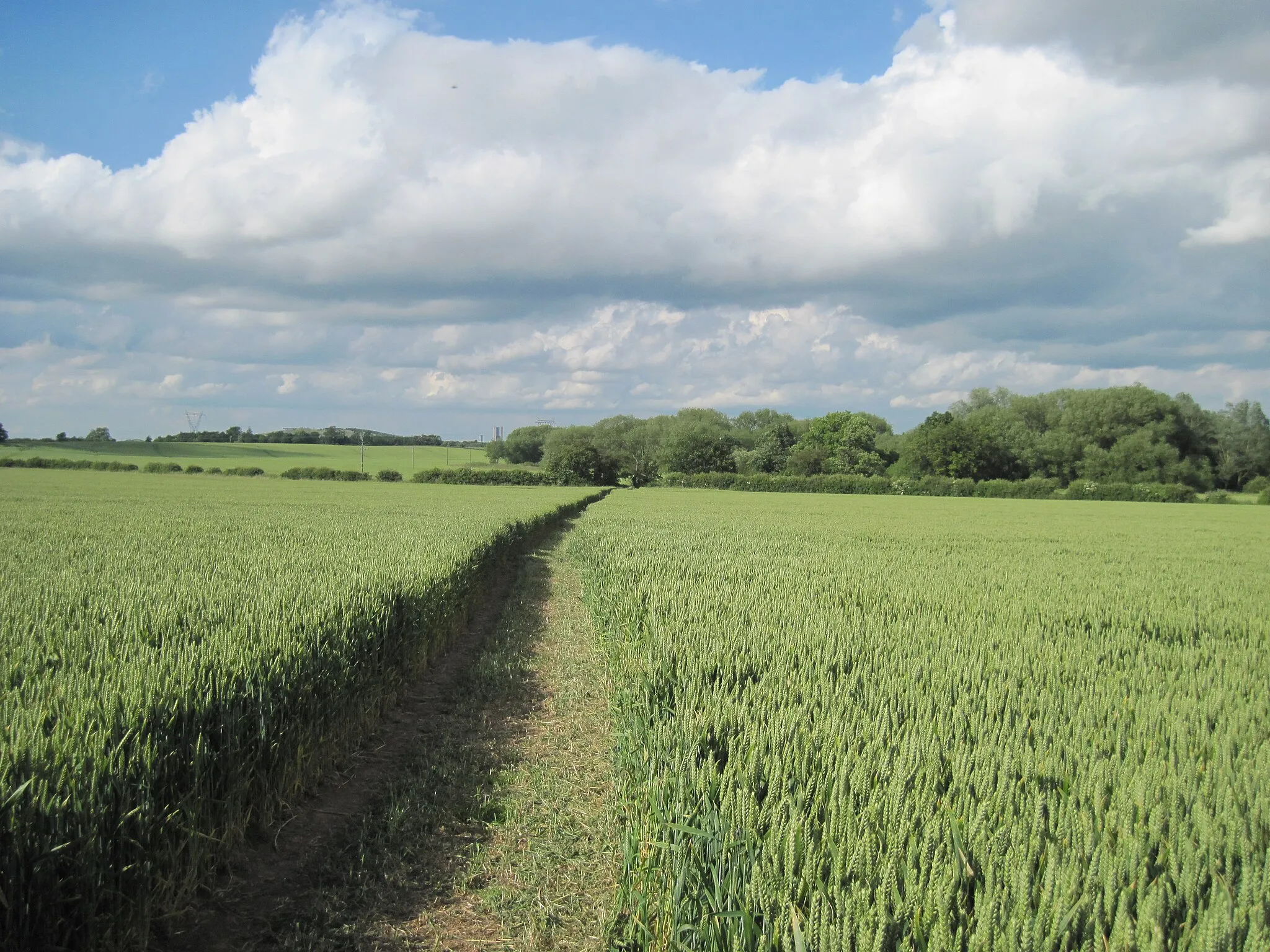 Photo showing: A  clear  path